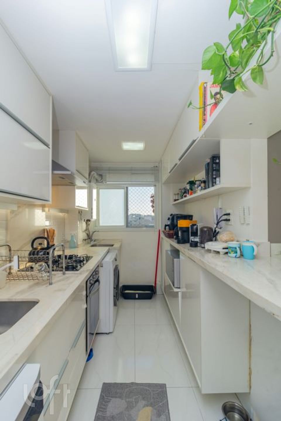 Imagem da propriedade 29