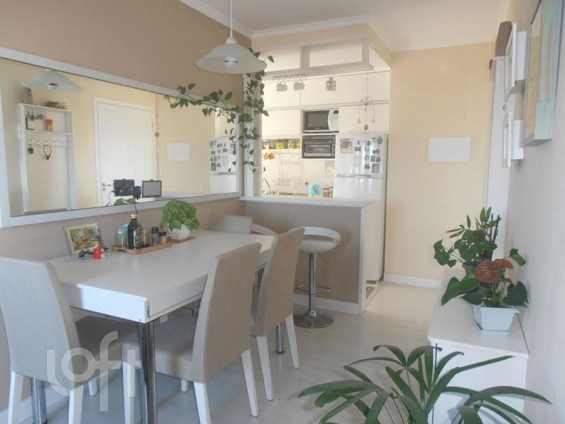 Imagem da propriedade 11