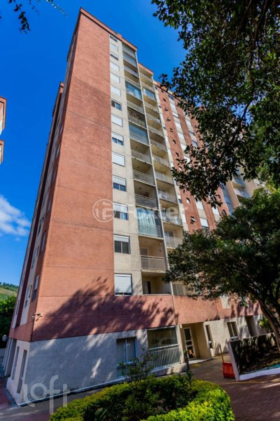 Imagem da propriedade 11