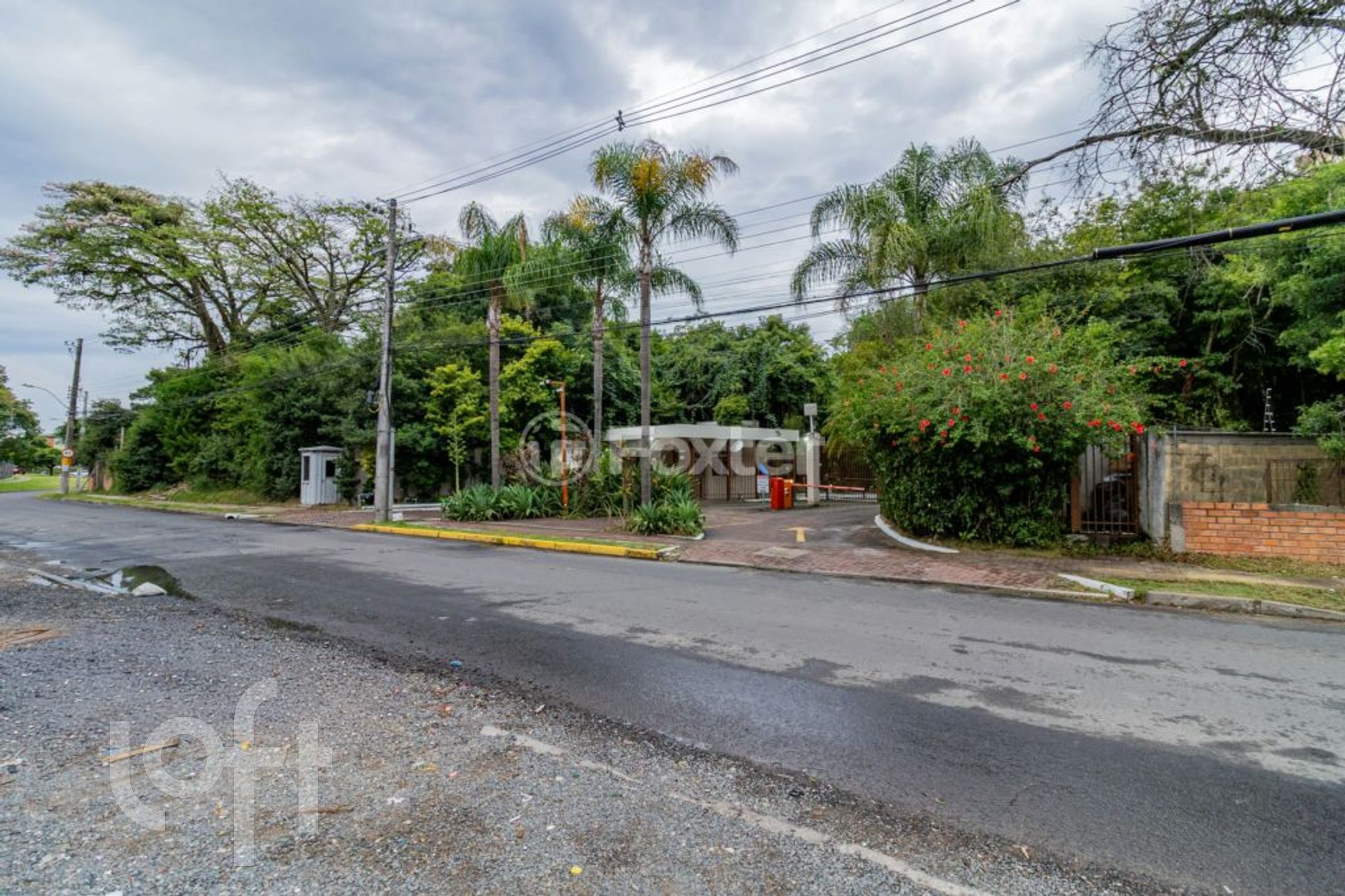 Imagem da propriedade 6