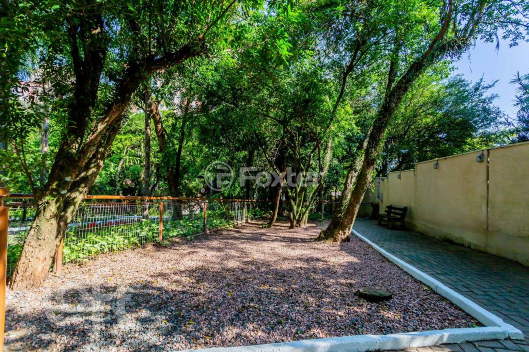 Imagem da propriedade 15