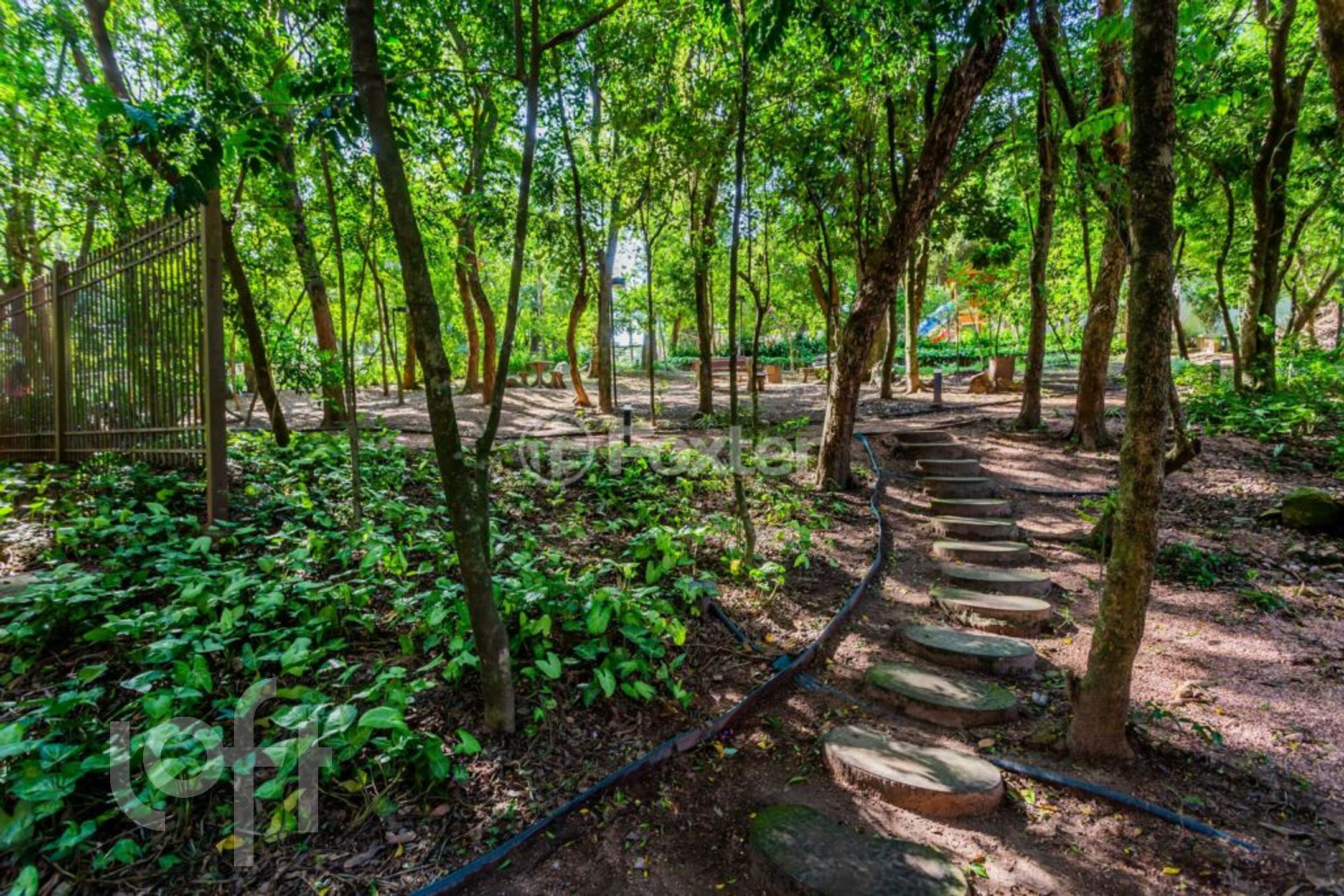 Imagem da propriedade 20