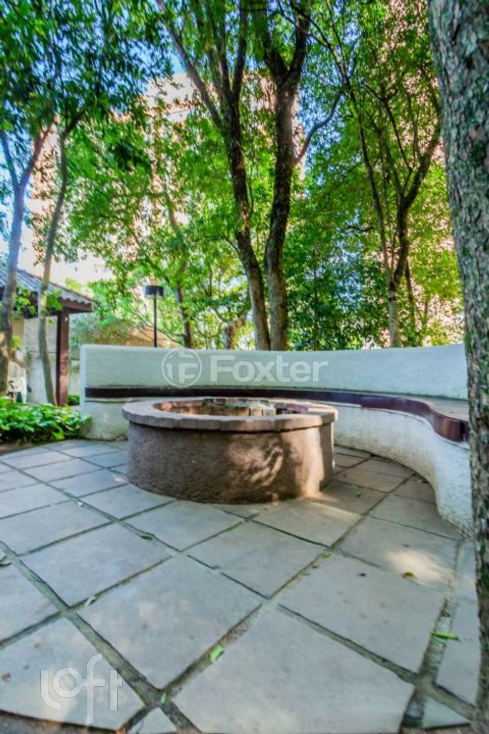 Imagem da propriedade 21