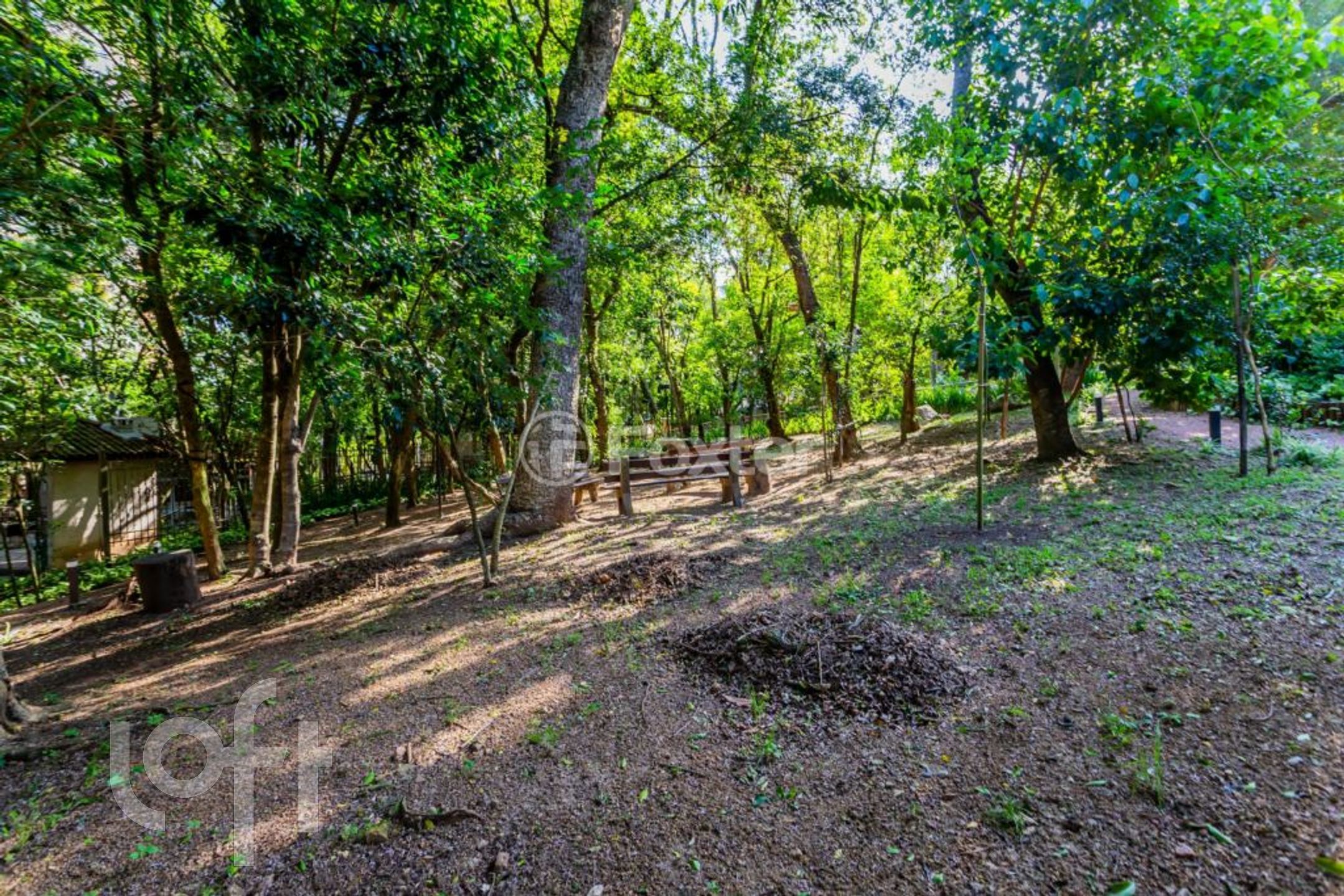 Imagem da propriedade 19