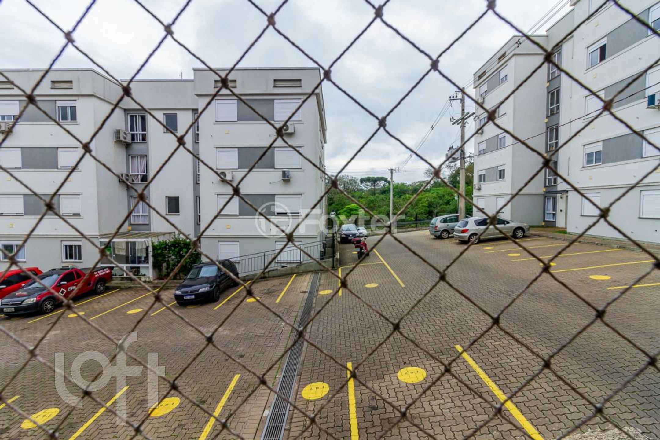 Imagem da propriedade 22