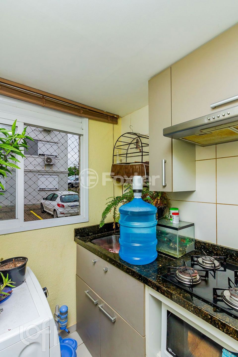 Imagem da propriedade 11