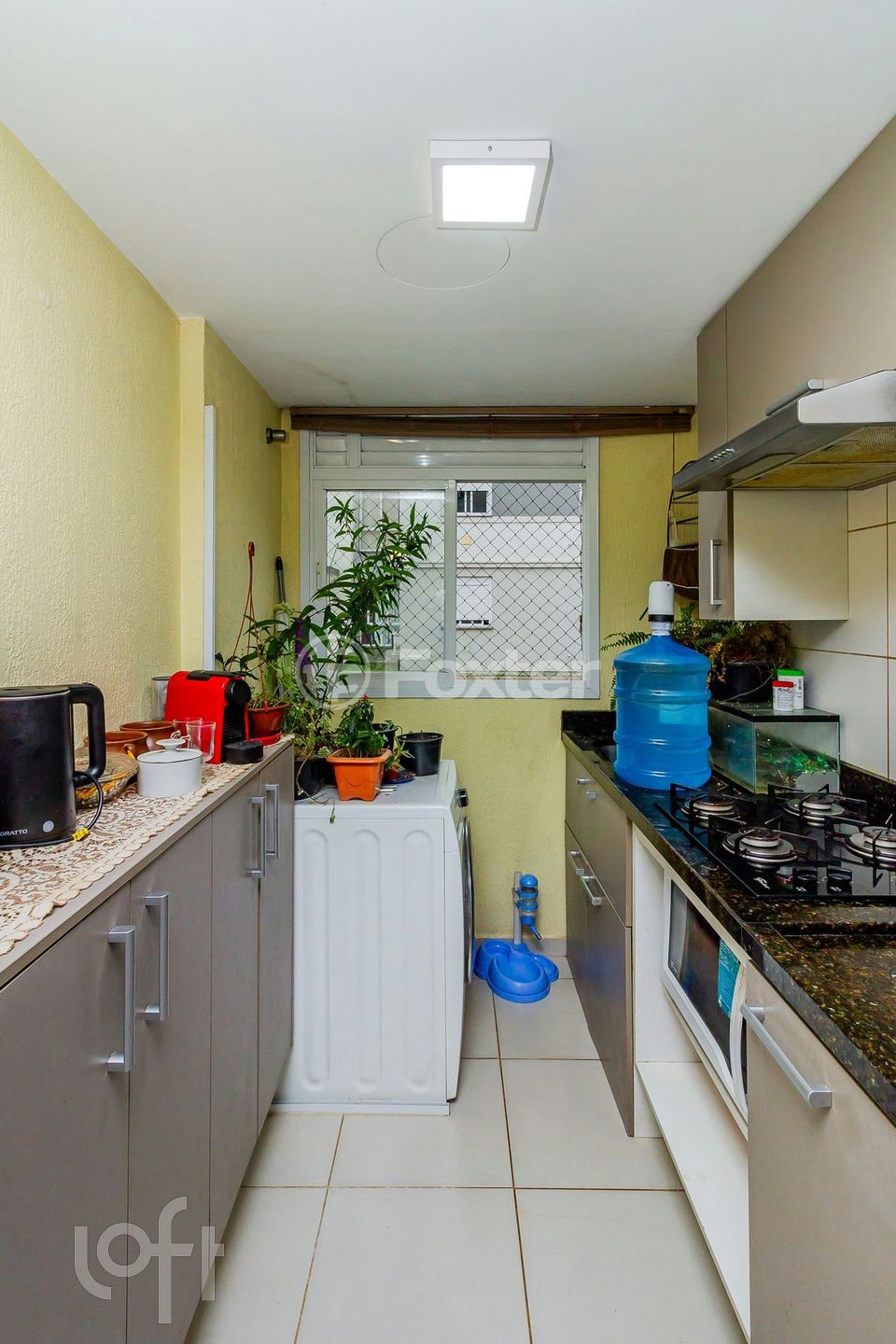 Imagem da propriedade 9