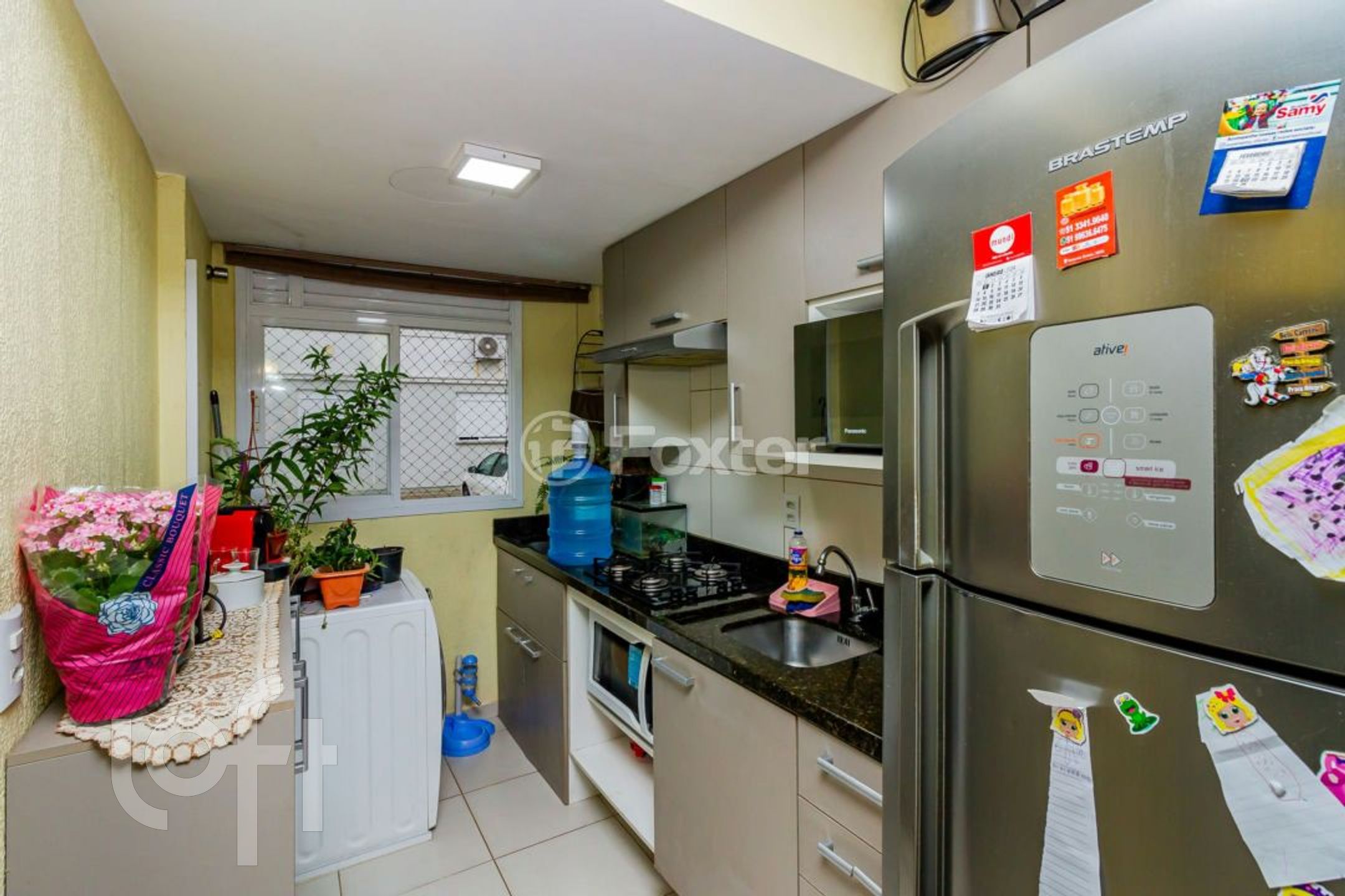 Imagem da propriedade 10