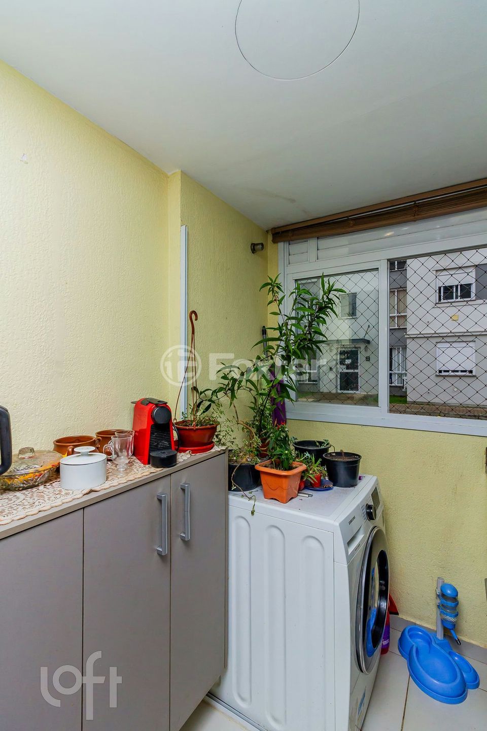 Imagem da propriedade 12