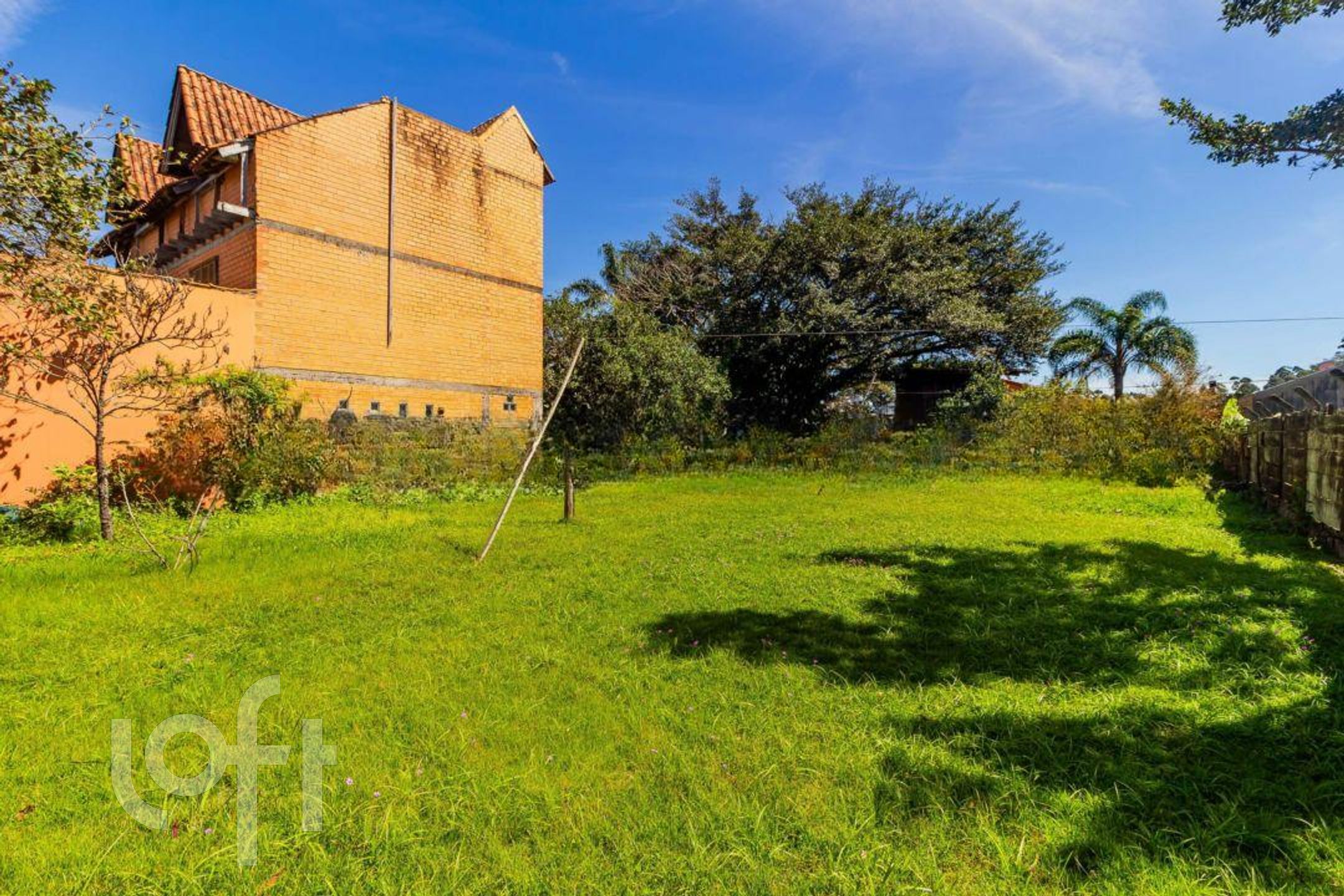 Imagem da propriedade 41