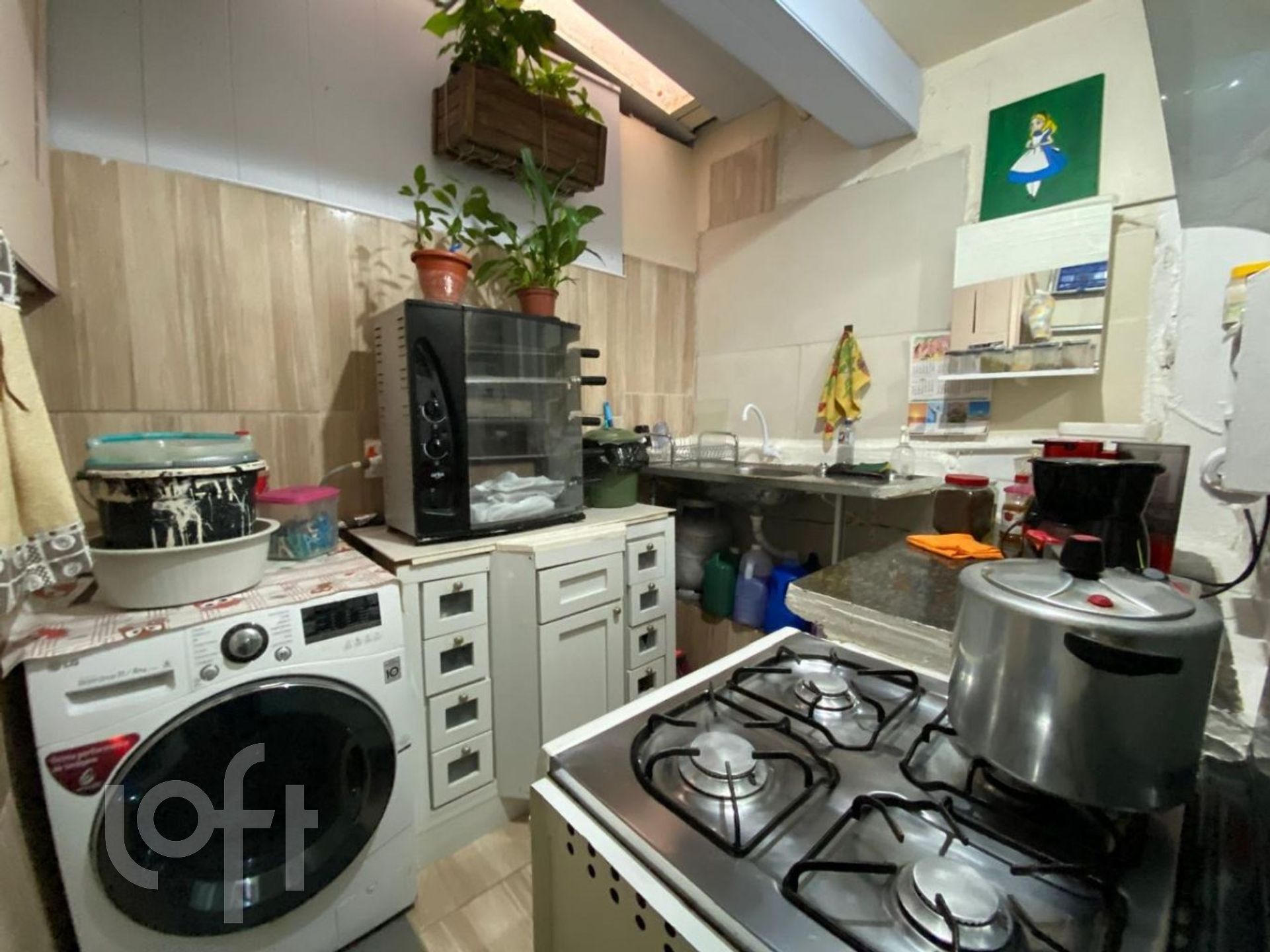 Imagem da propriedade 18