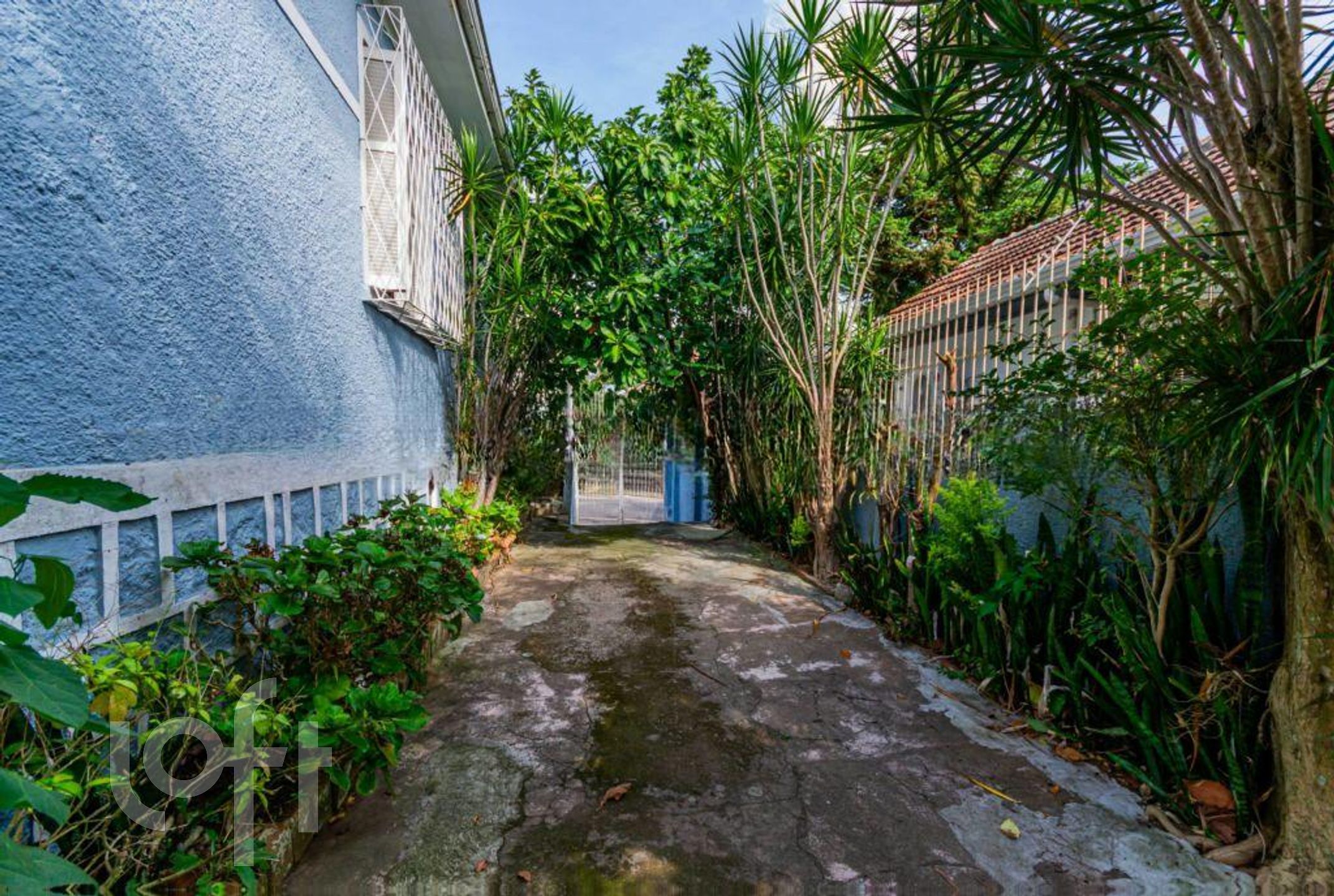 Imagem da propriedade 50