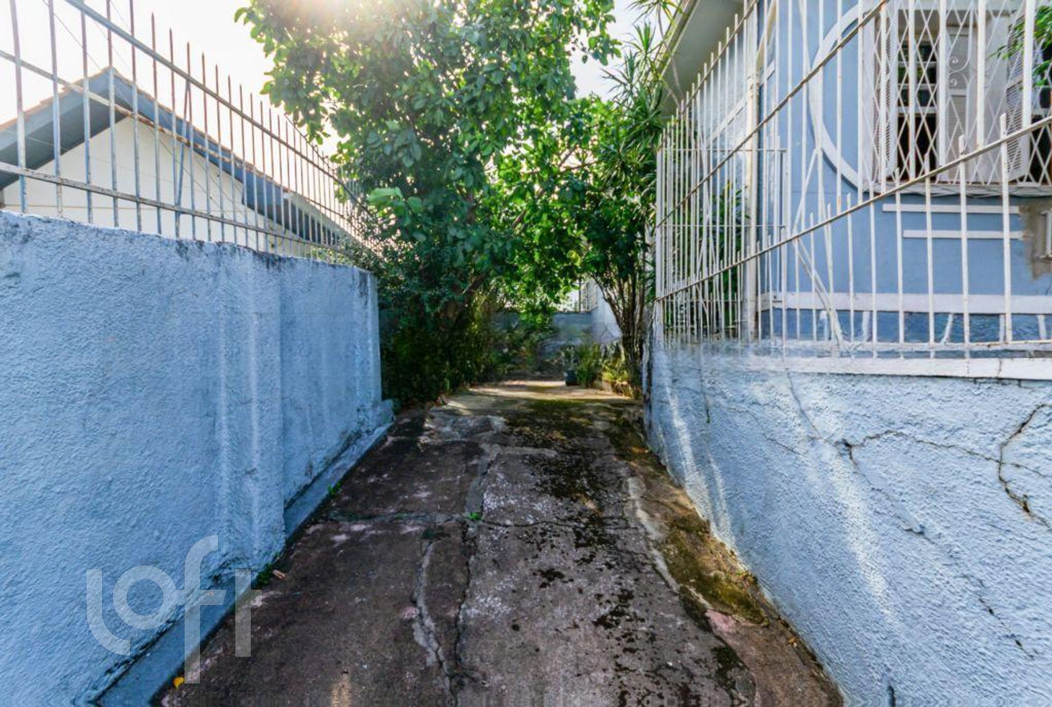 Imagem da propriedade 52