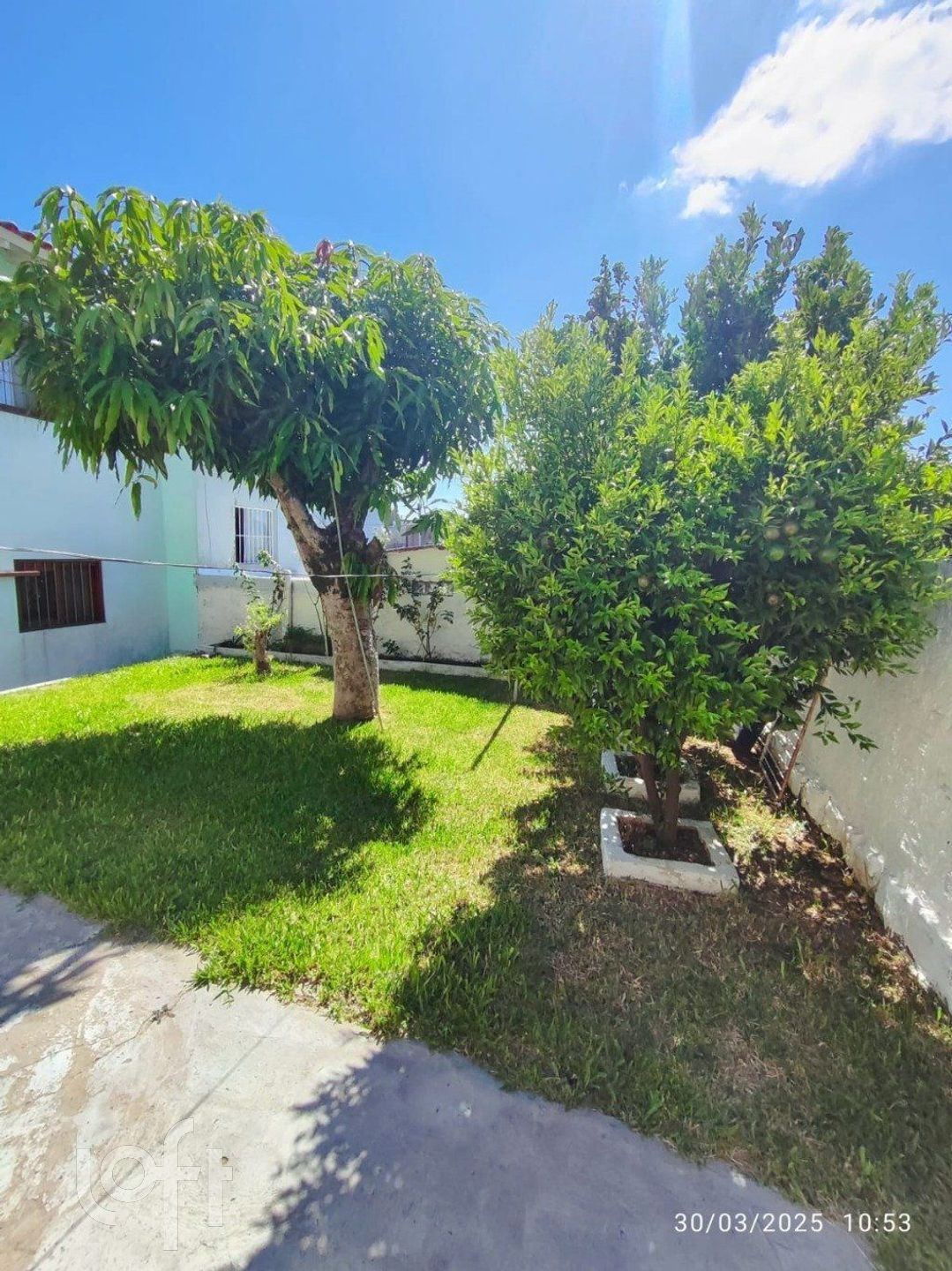 Imagem da propriedade 28