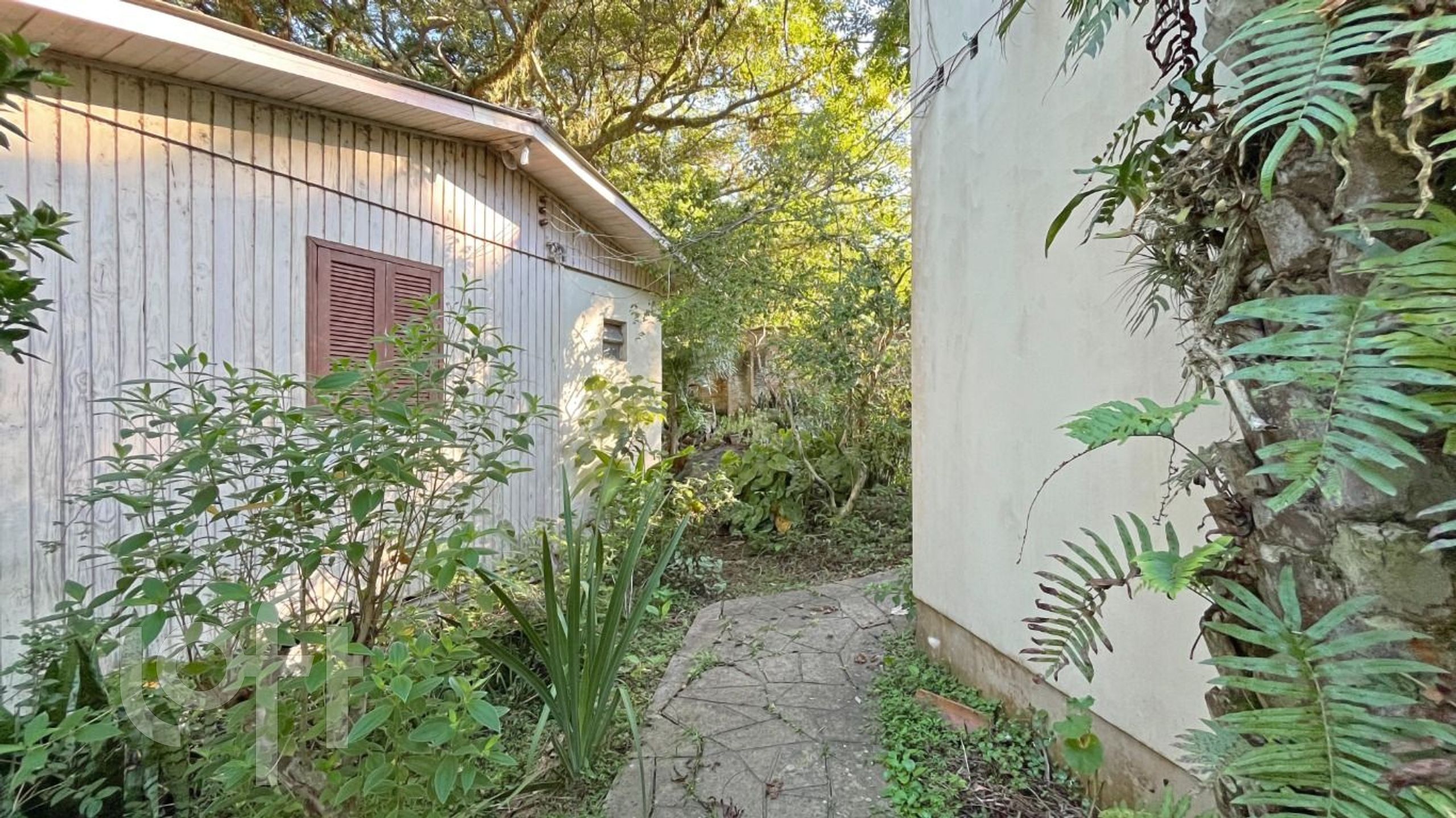 Imagem da propriedade 41