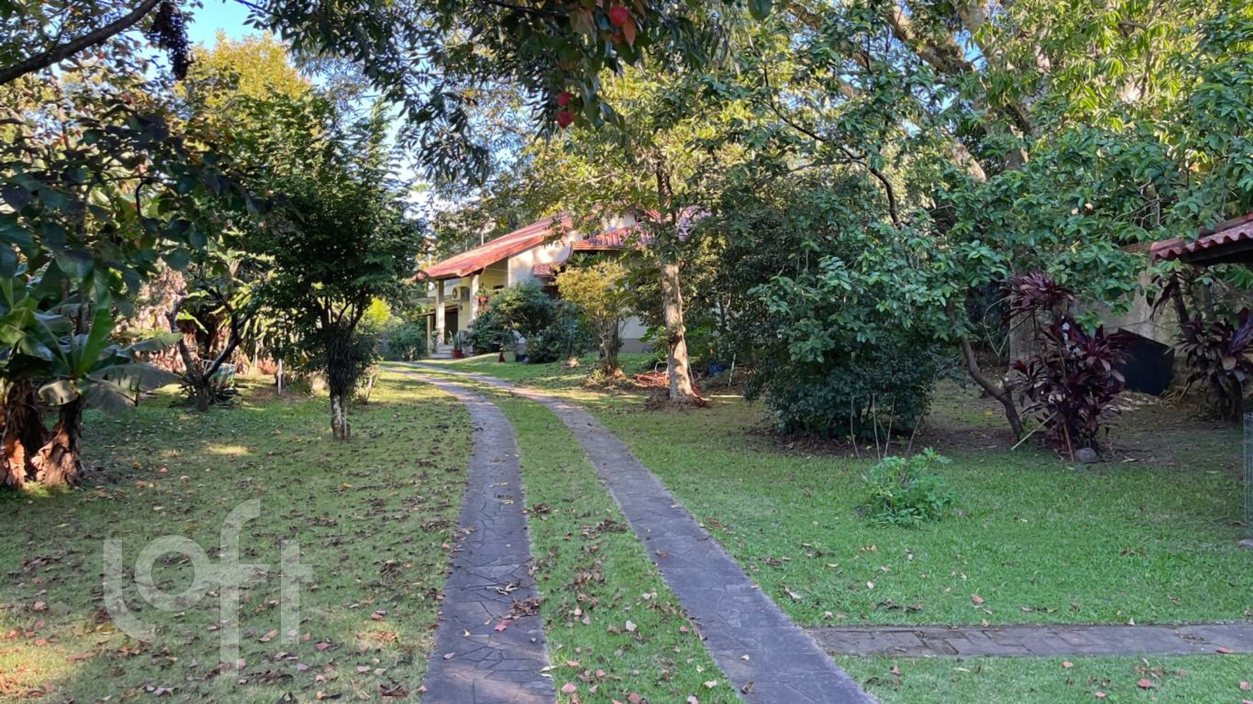 Imagem da propriedade 31