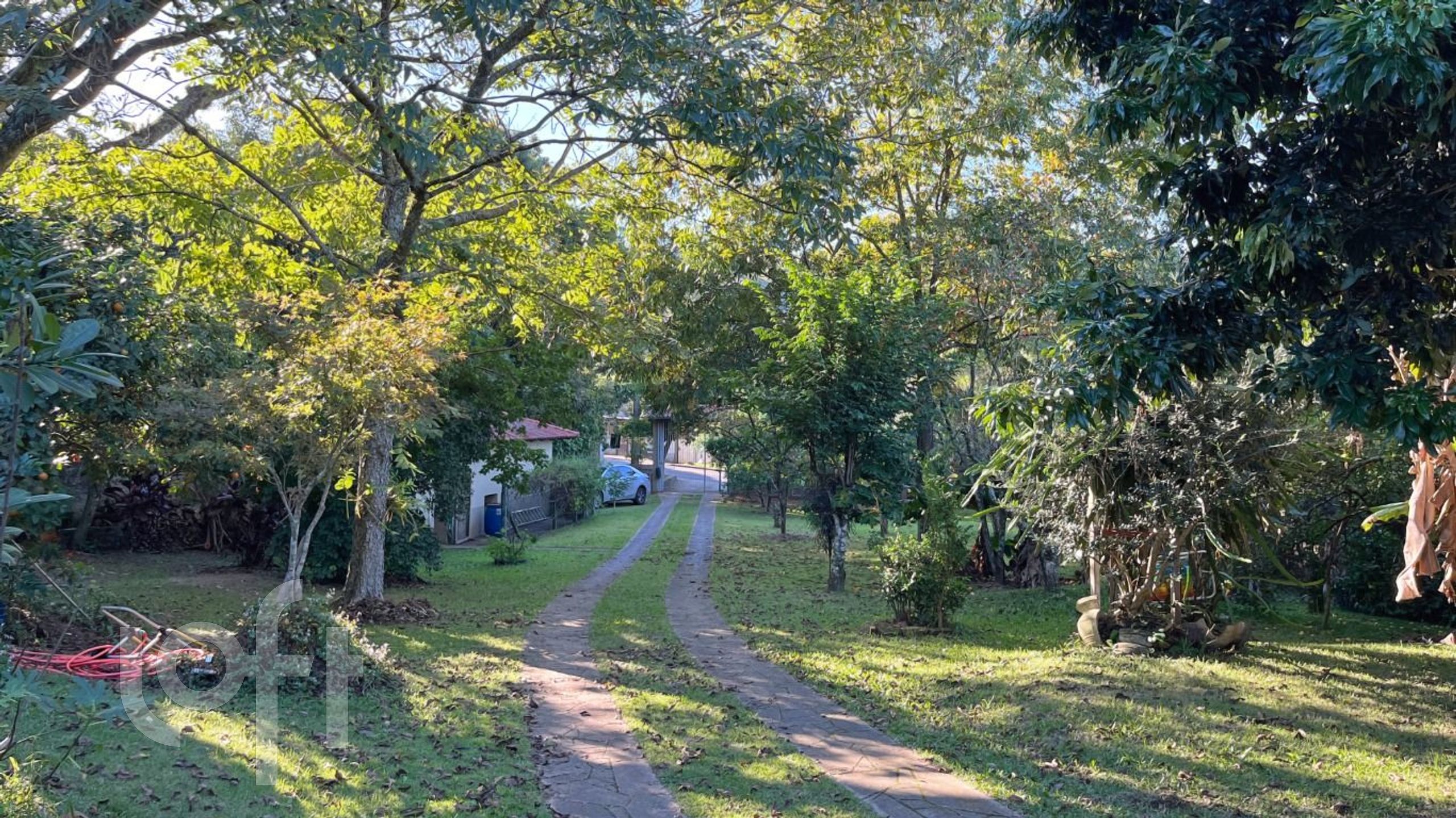 Imagem da propriedade 38