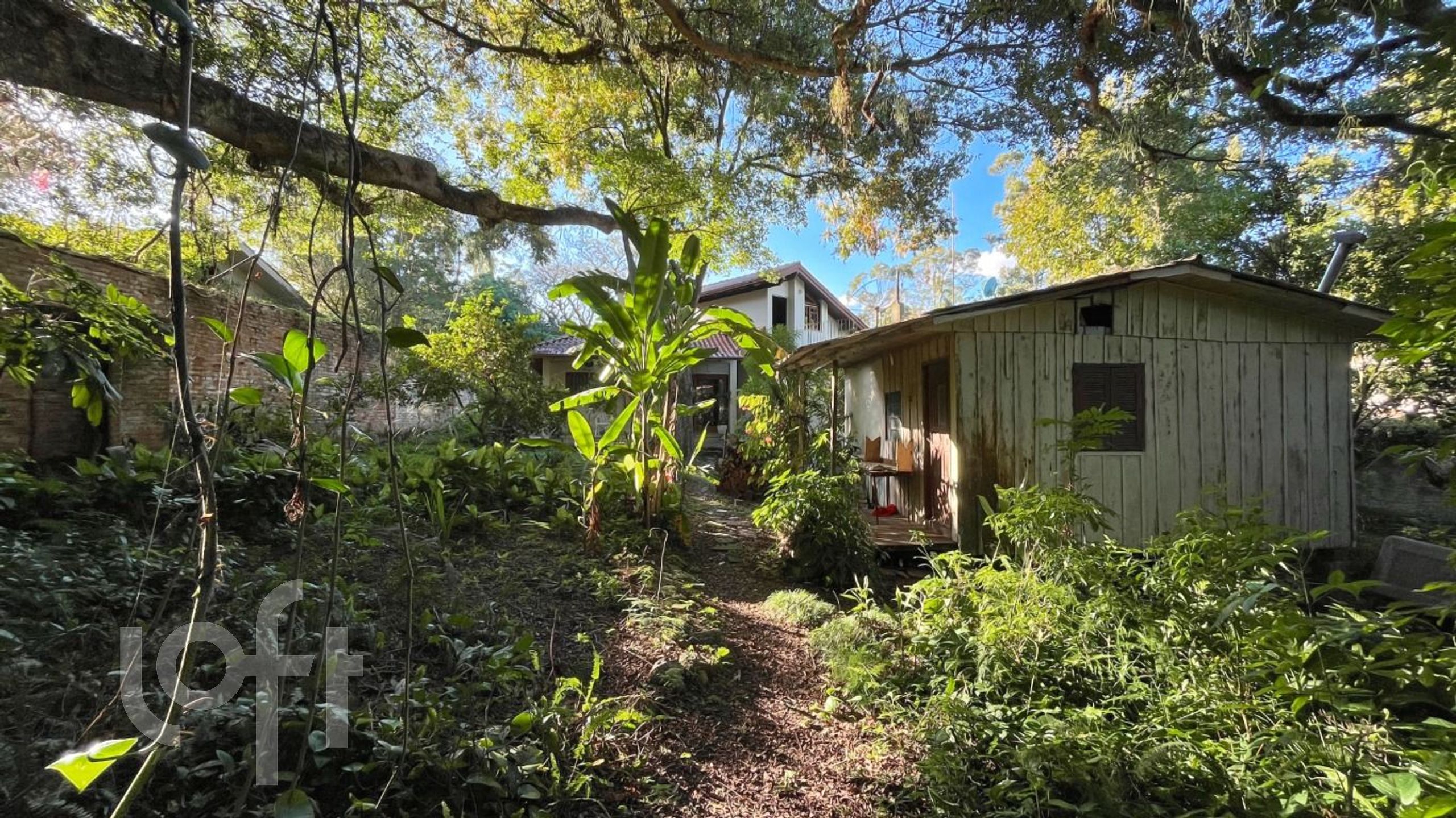 Imagem da propriedade 47