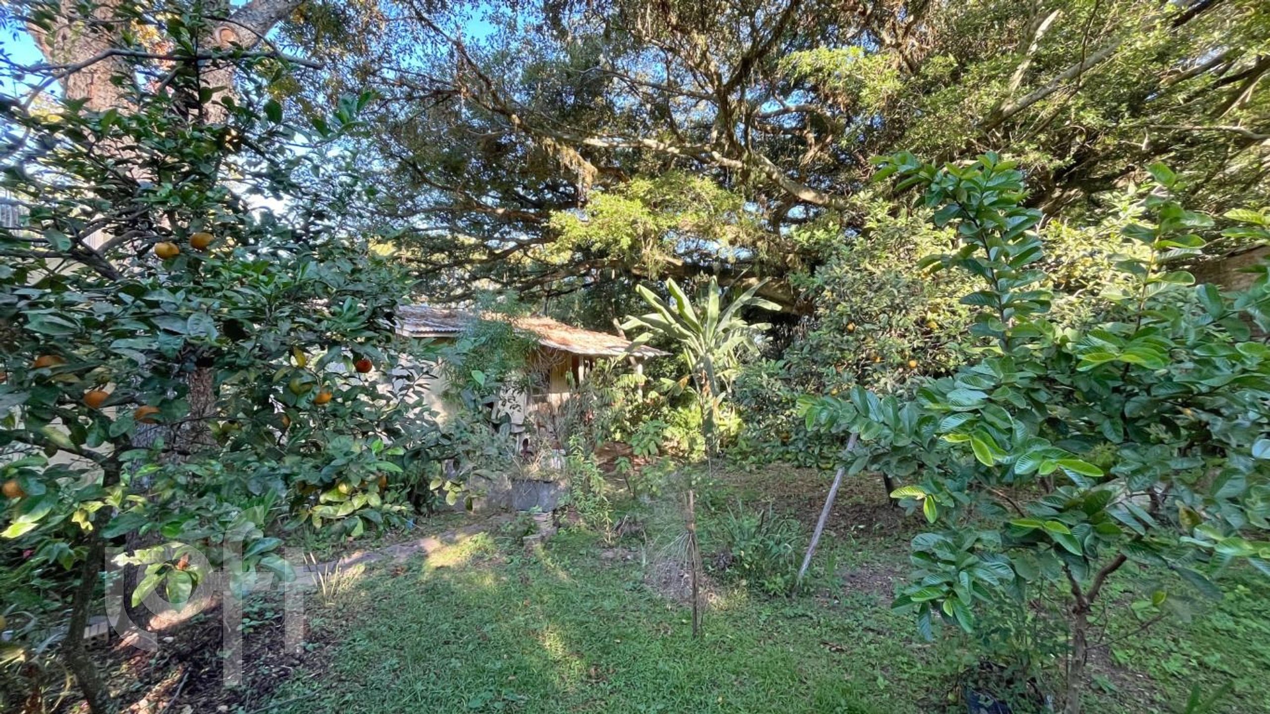 Imagem da propriedade 44