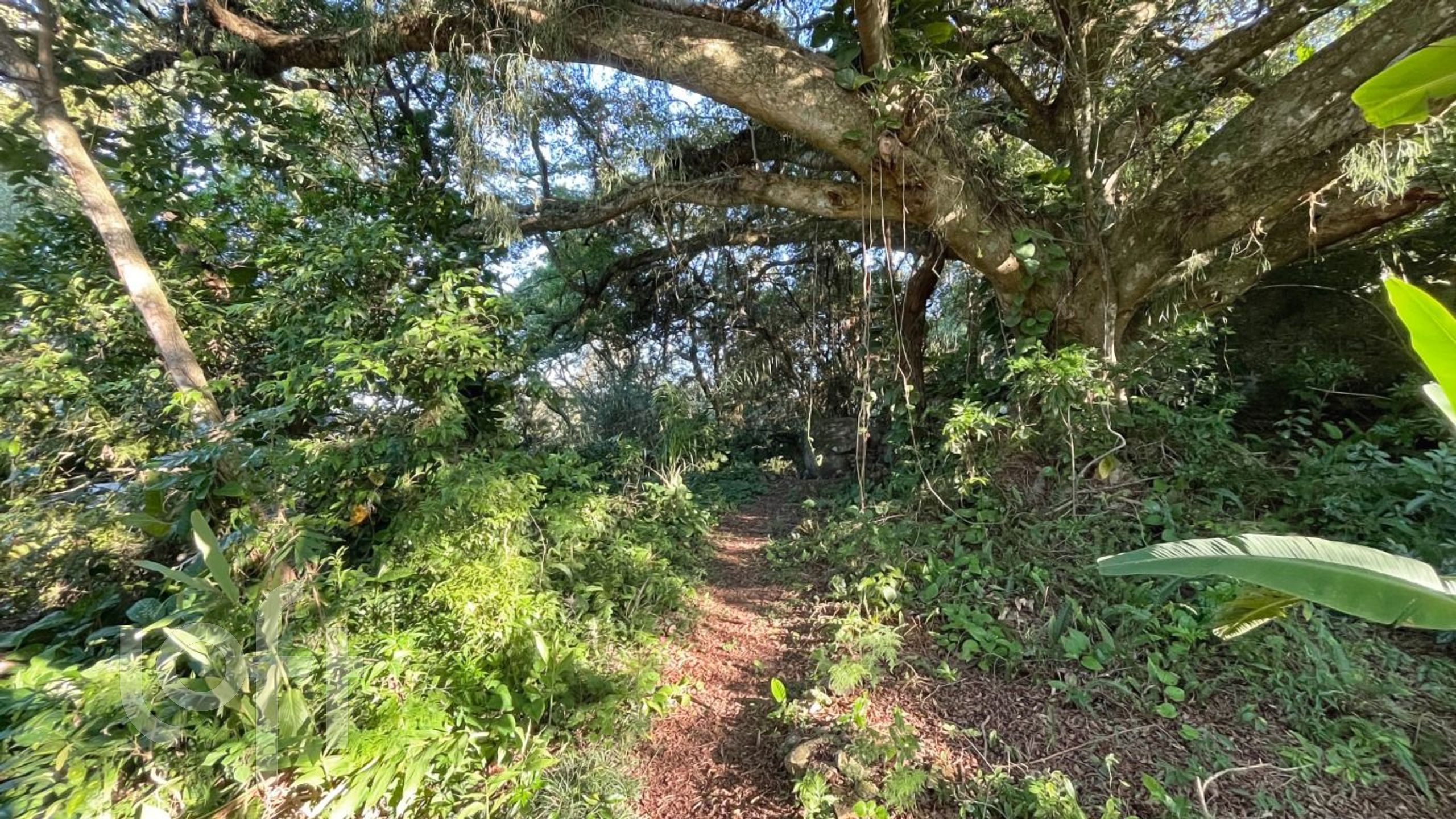 Imagem da propriedade 46