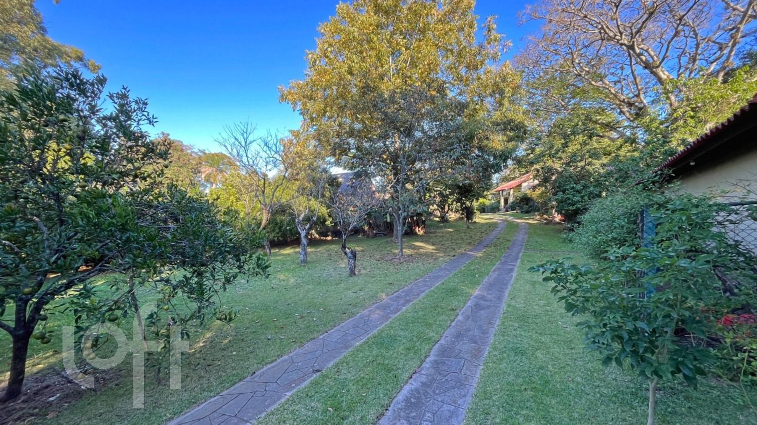 Imagem da propriedade 29