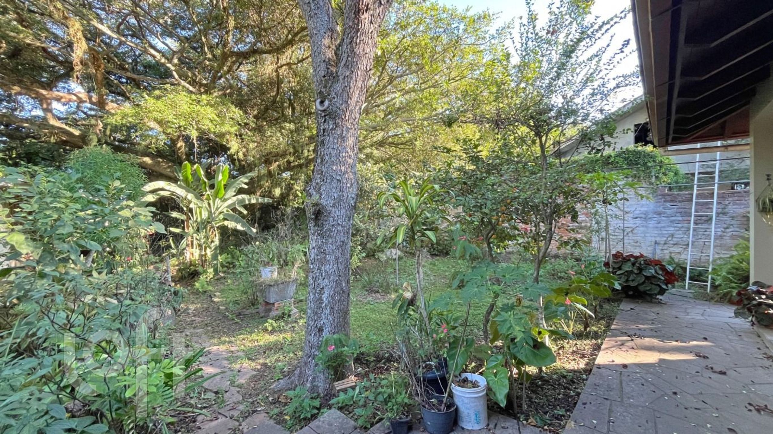 Imagem da propriedade 43