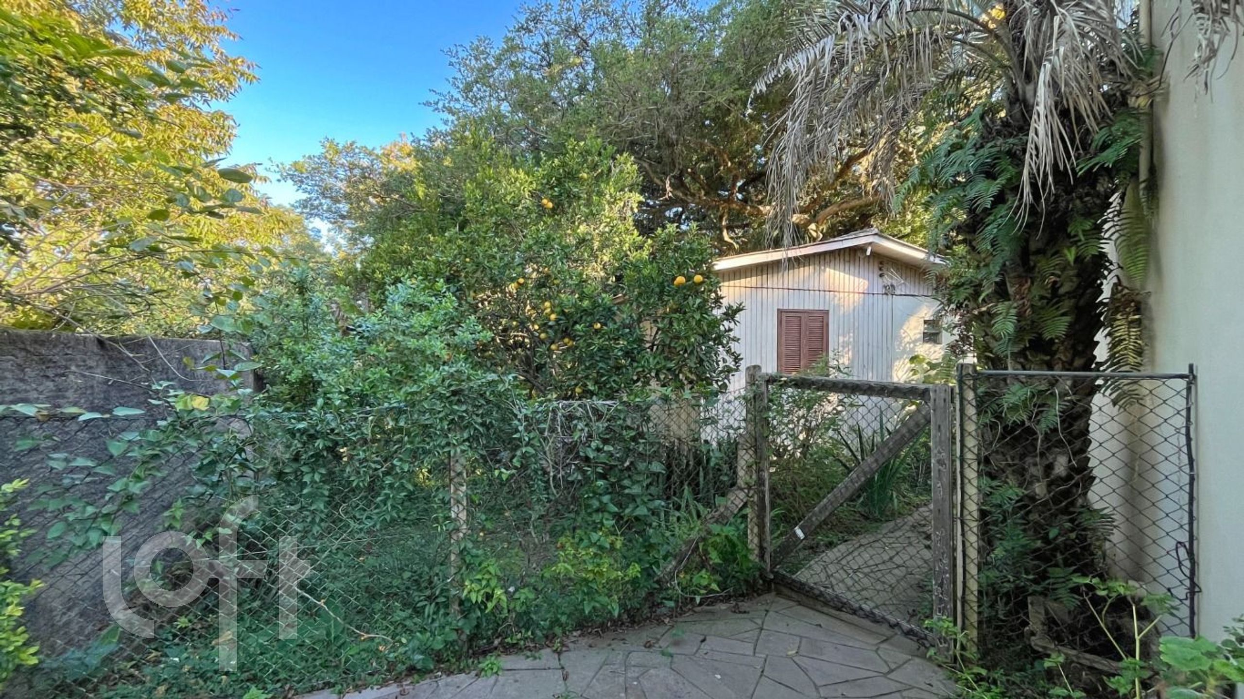 Imagem da propriedade 40