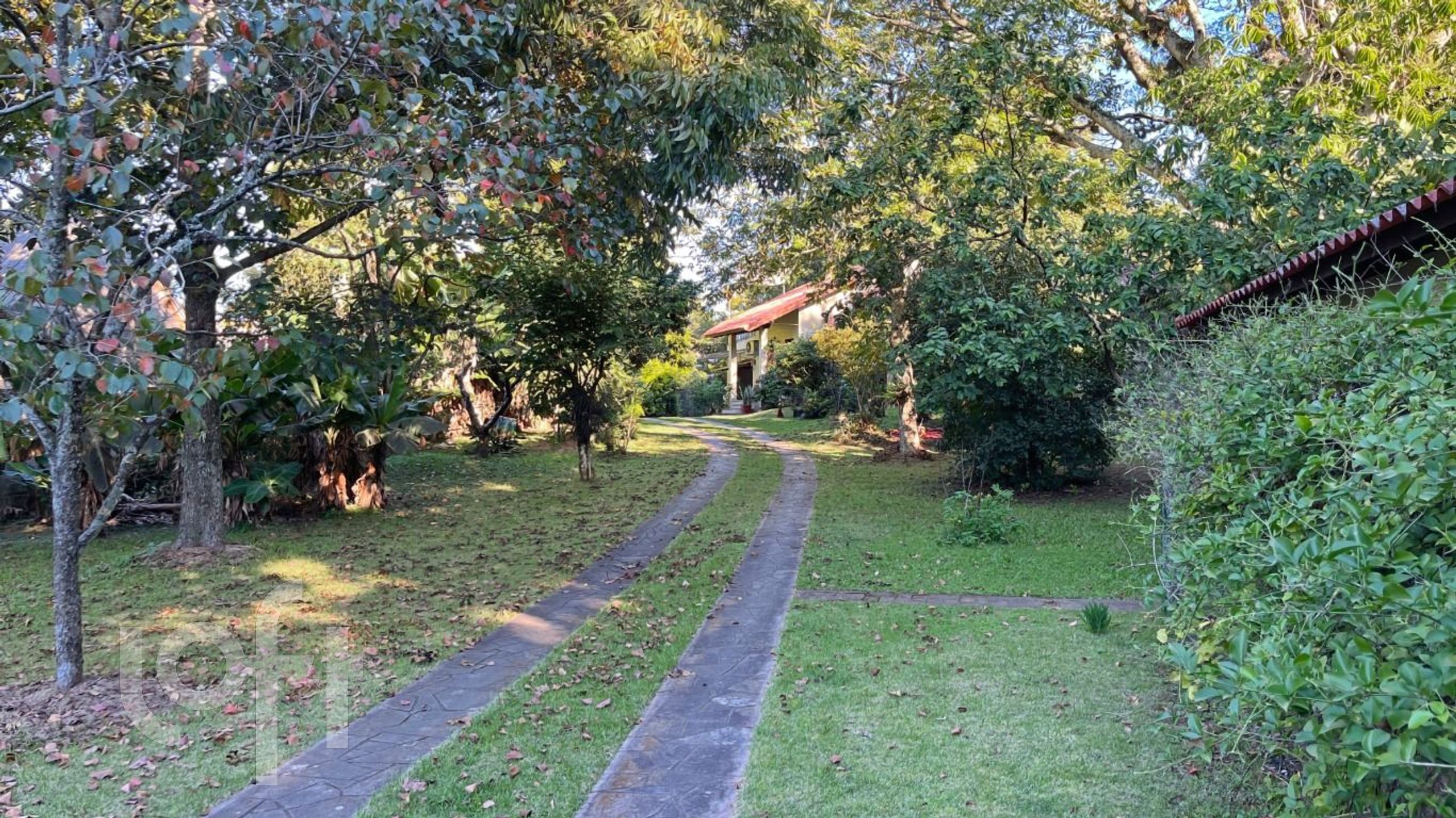 Imagem da propriedade 30