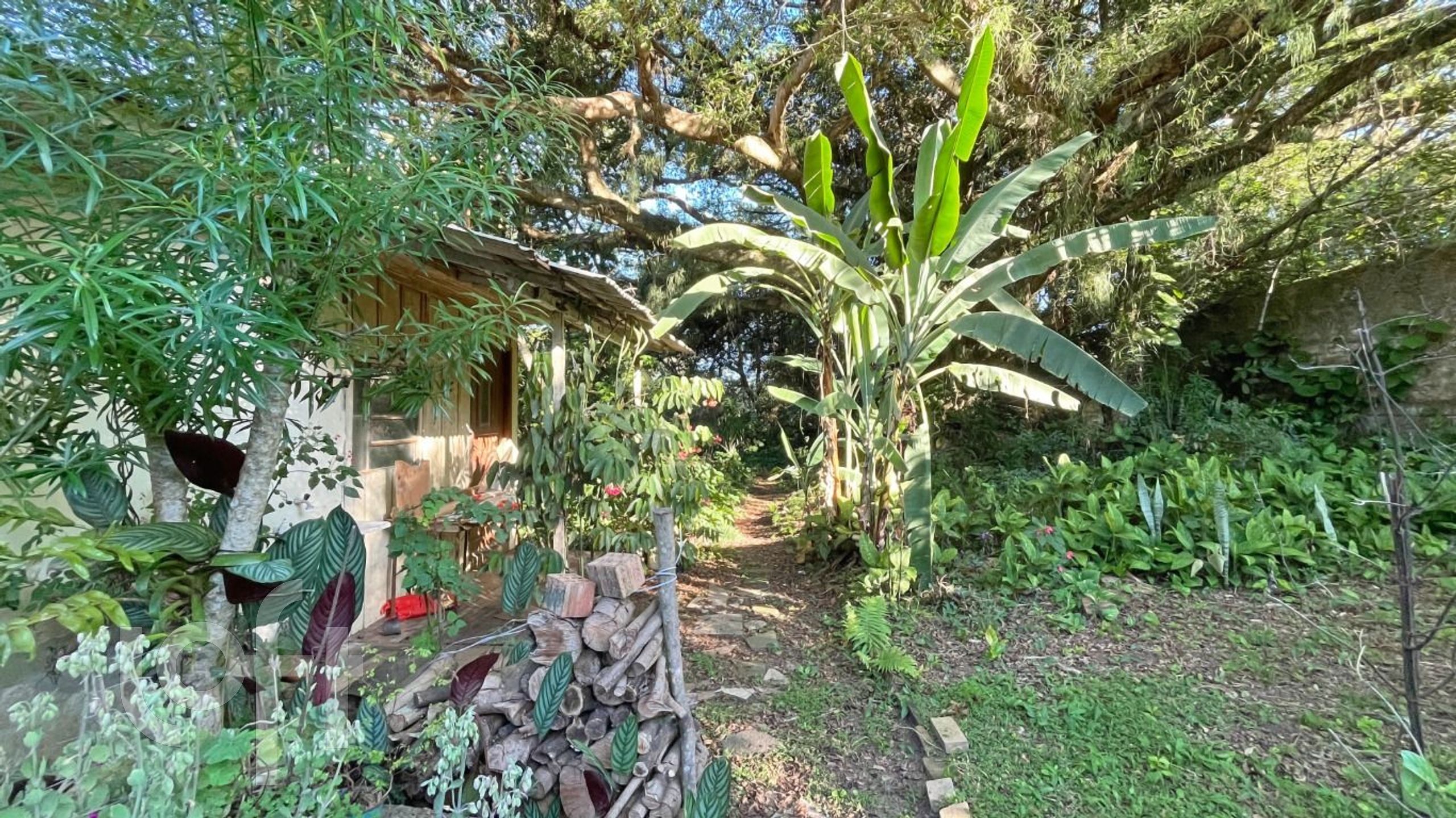 Imagem da propriedade 45