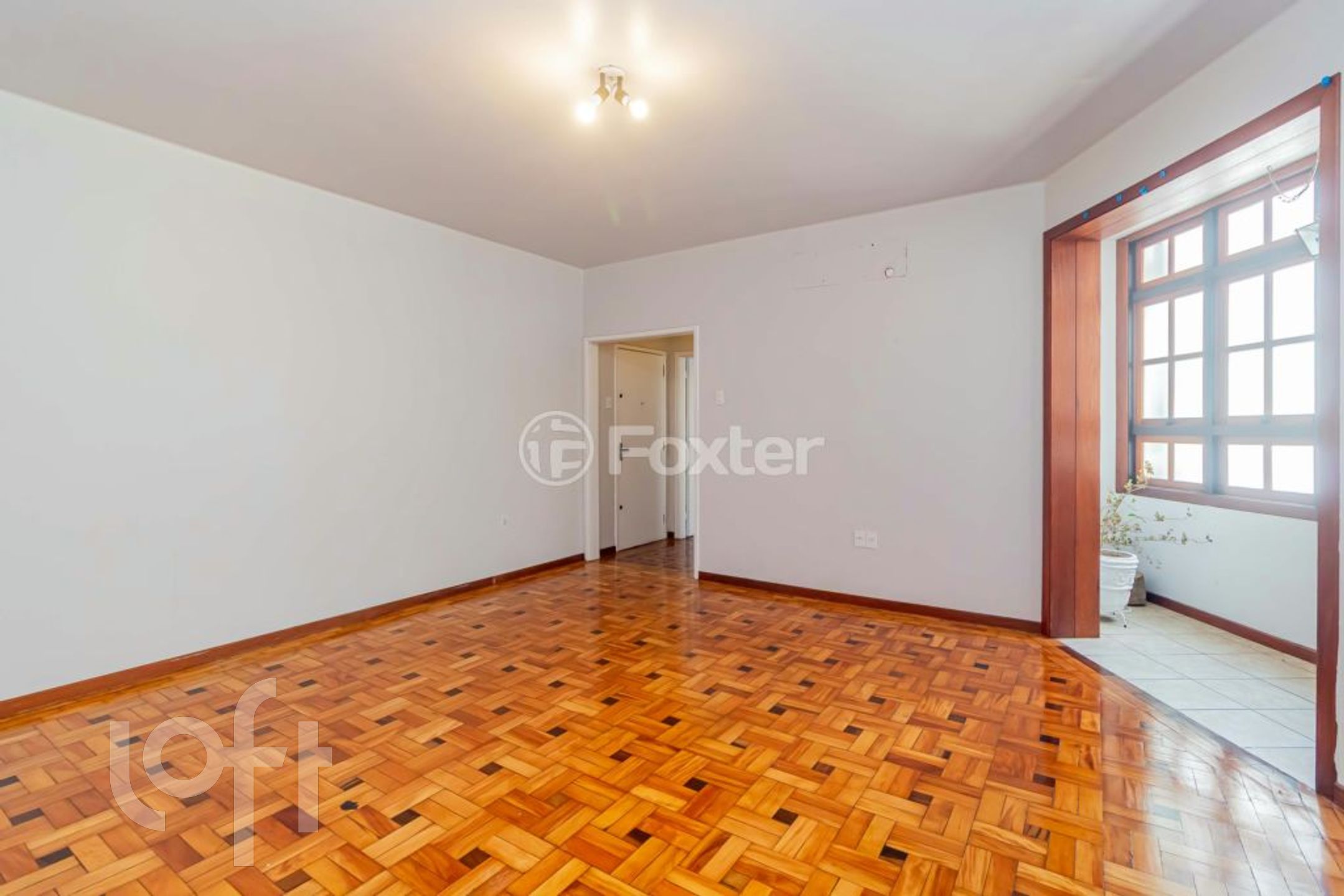 Imagem da propriedade 3