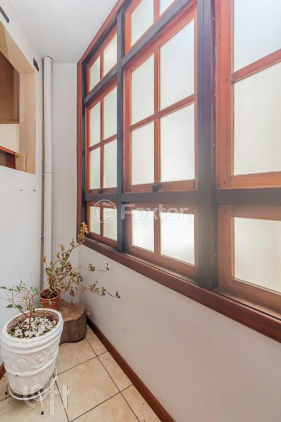 Imagem da propriedade 4