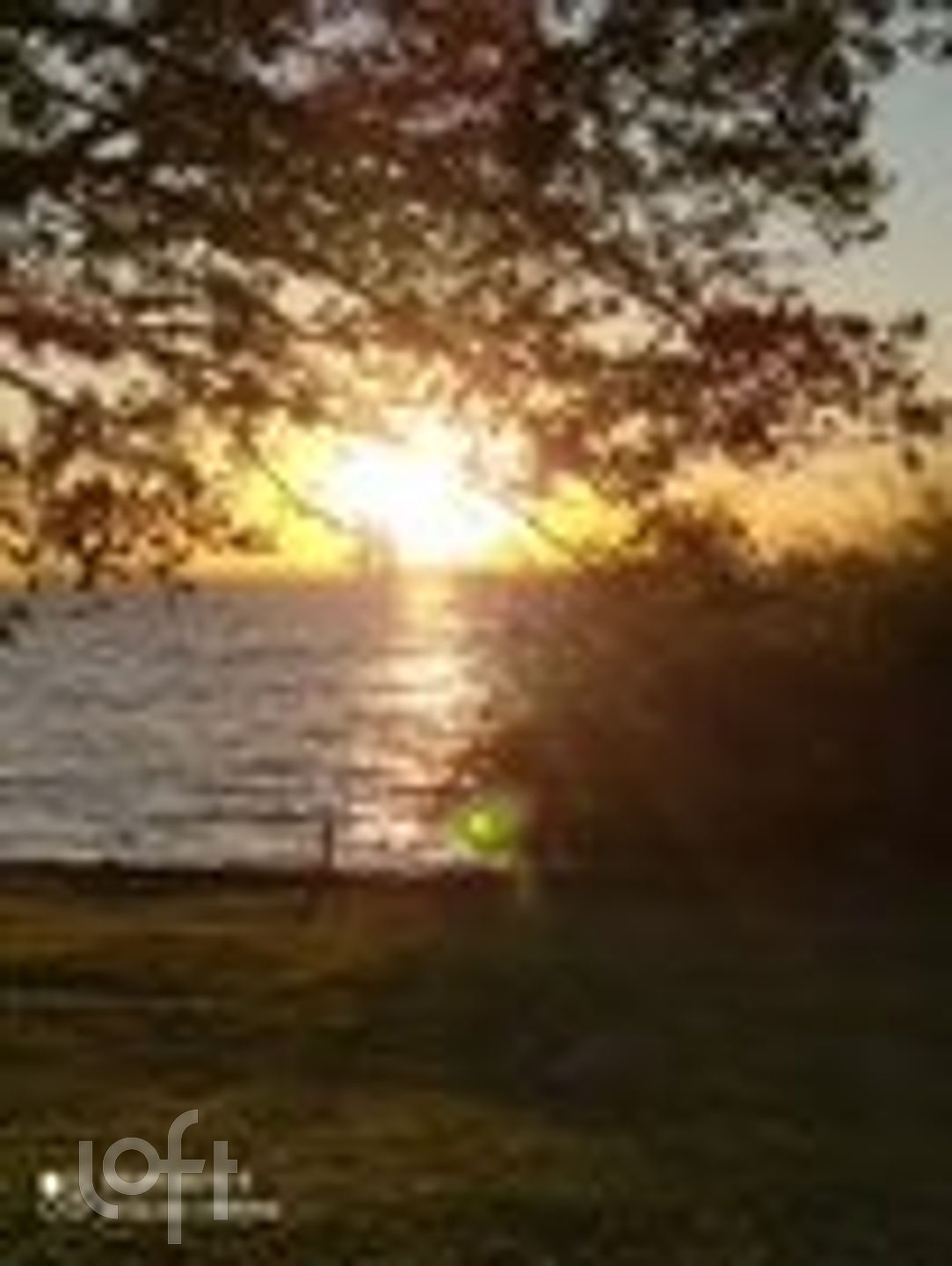 Imagem da propriedade 53