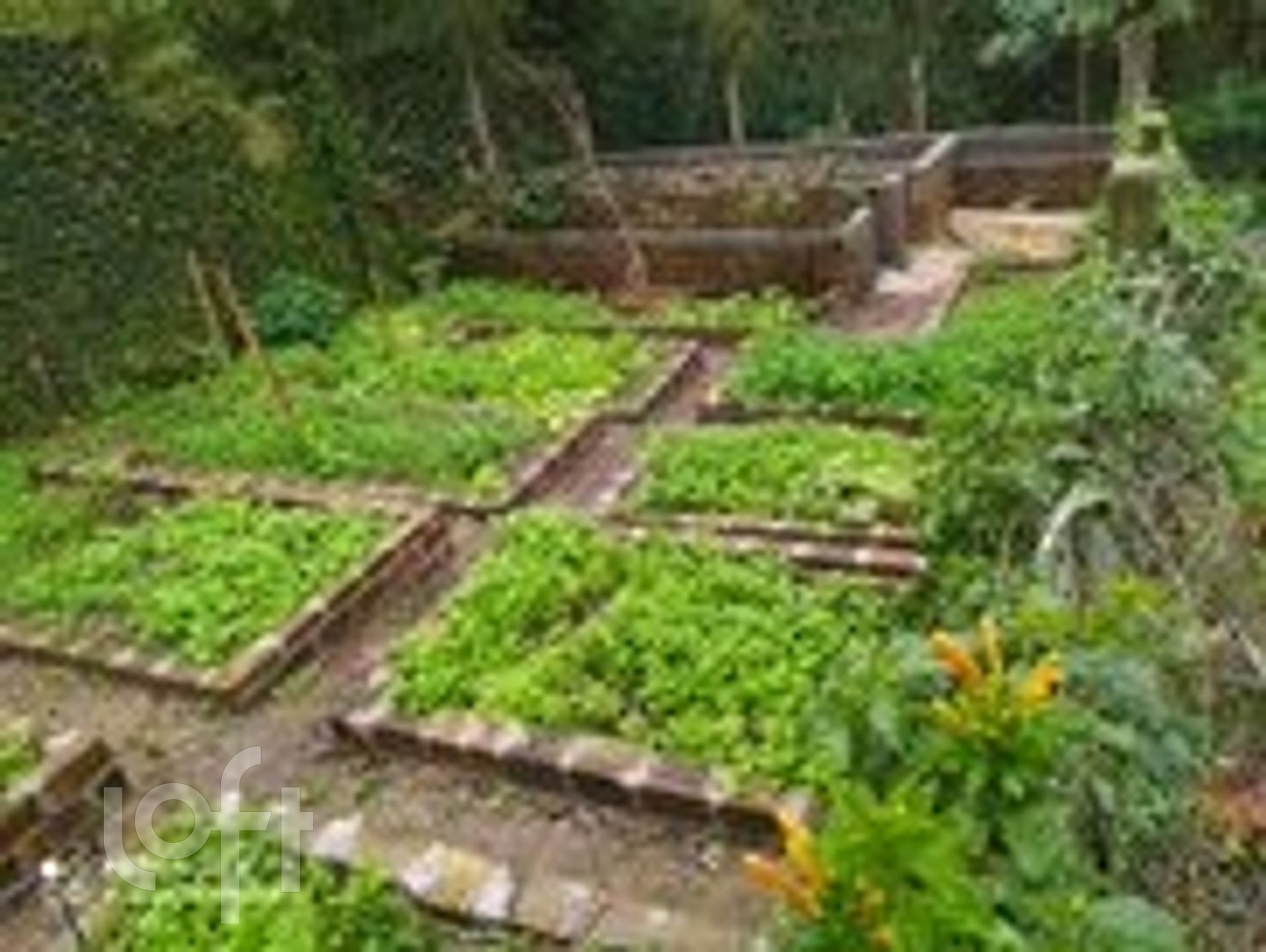 Imagem da propriedade 63