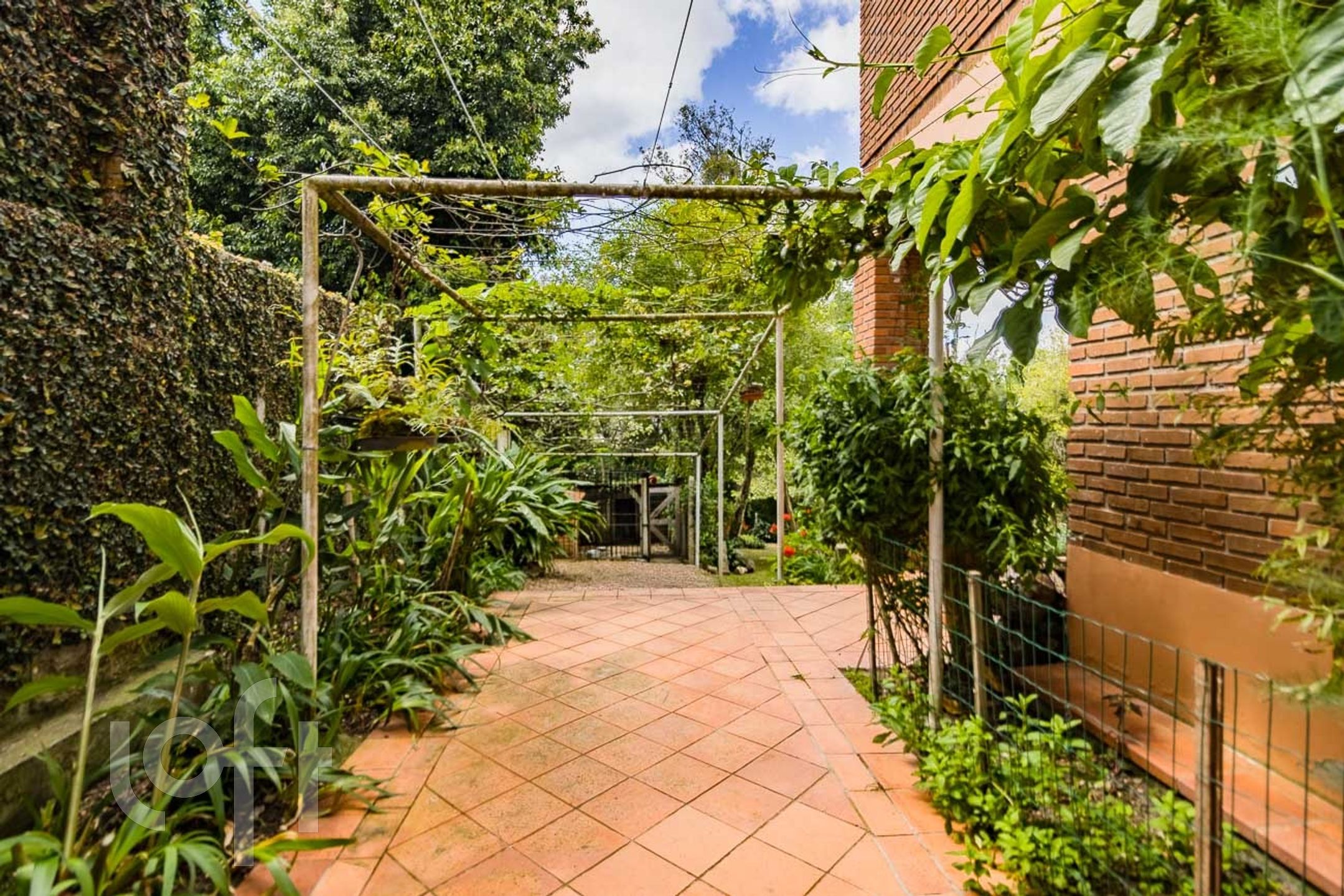 Imagem da propriedade 39