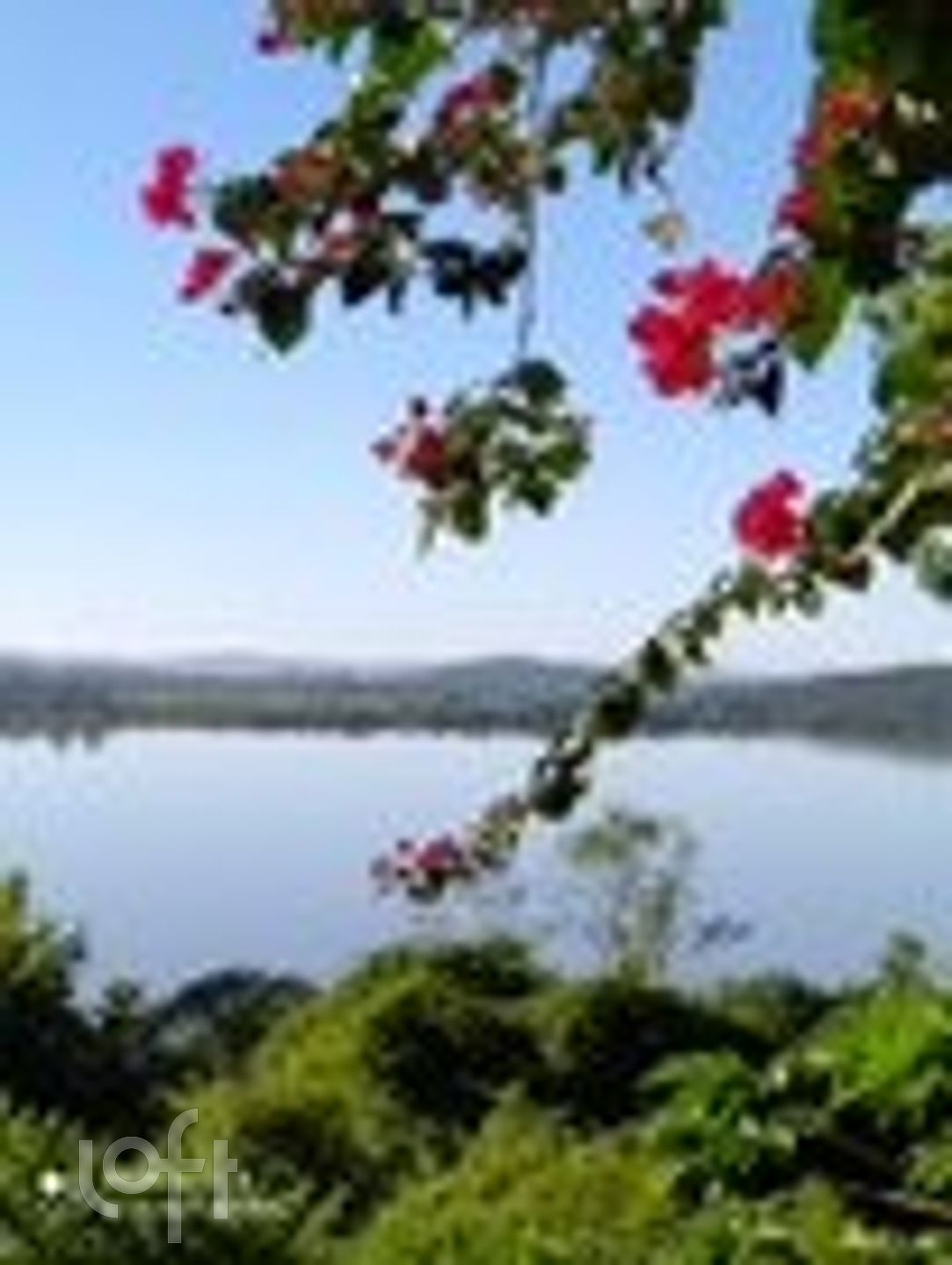 Imagem da propriedade 54