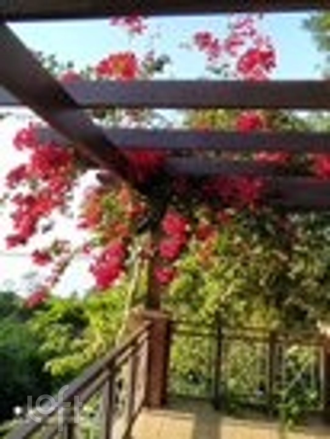 Imagem da propriedade 56