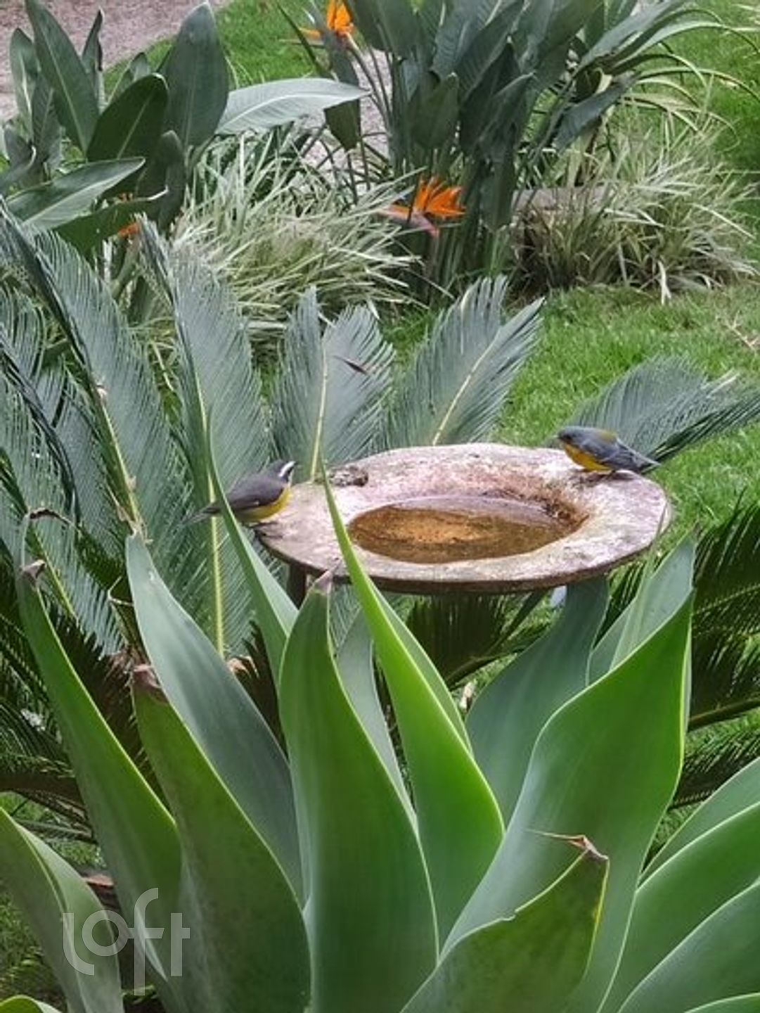 Imagem da propriedade 65