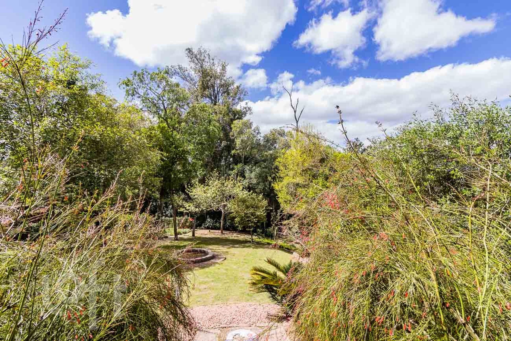 Imagem da propriedade 41