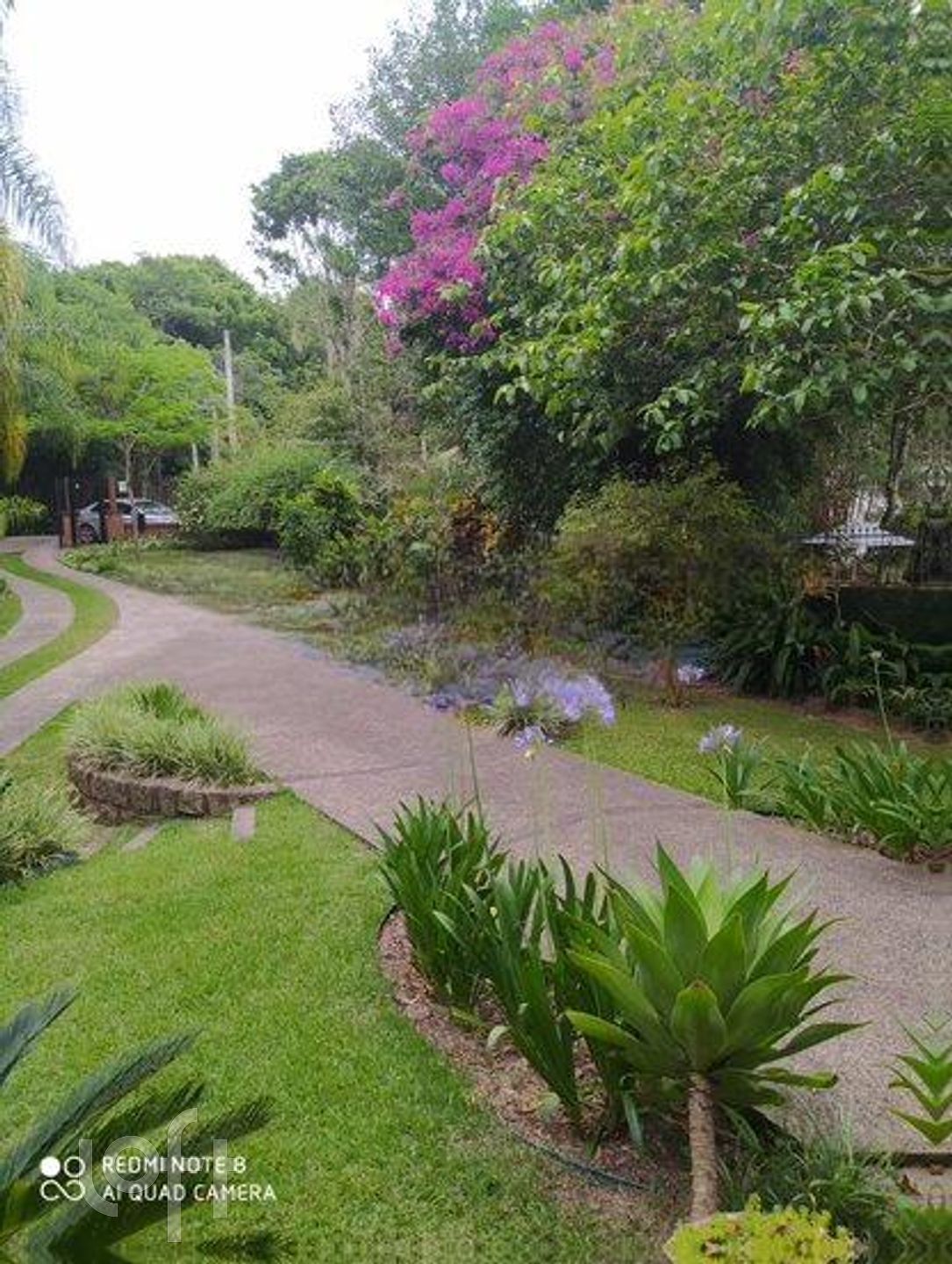 Imagem da propriedade 51