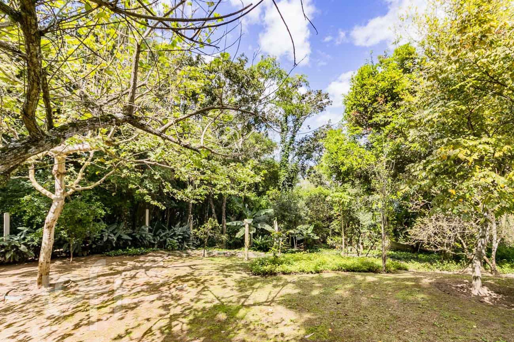 Imagem da propriedade 45