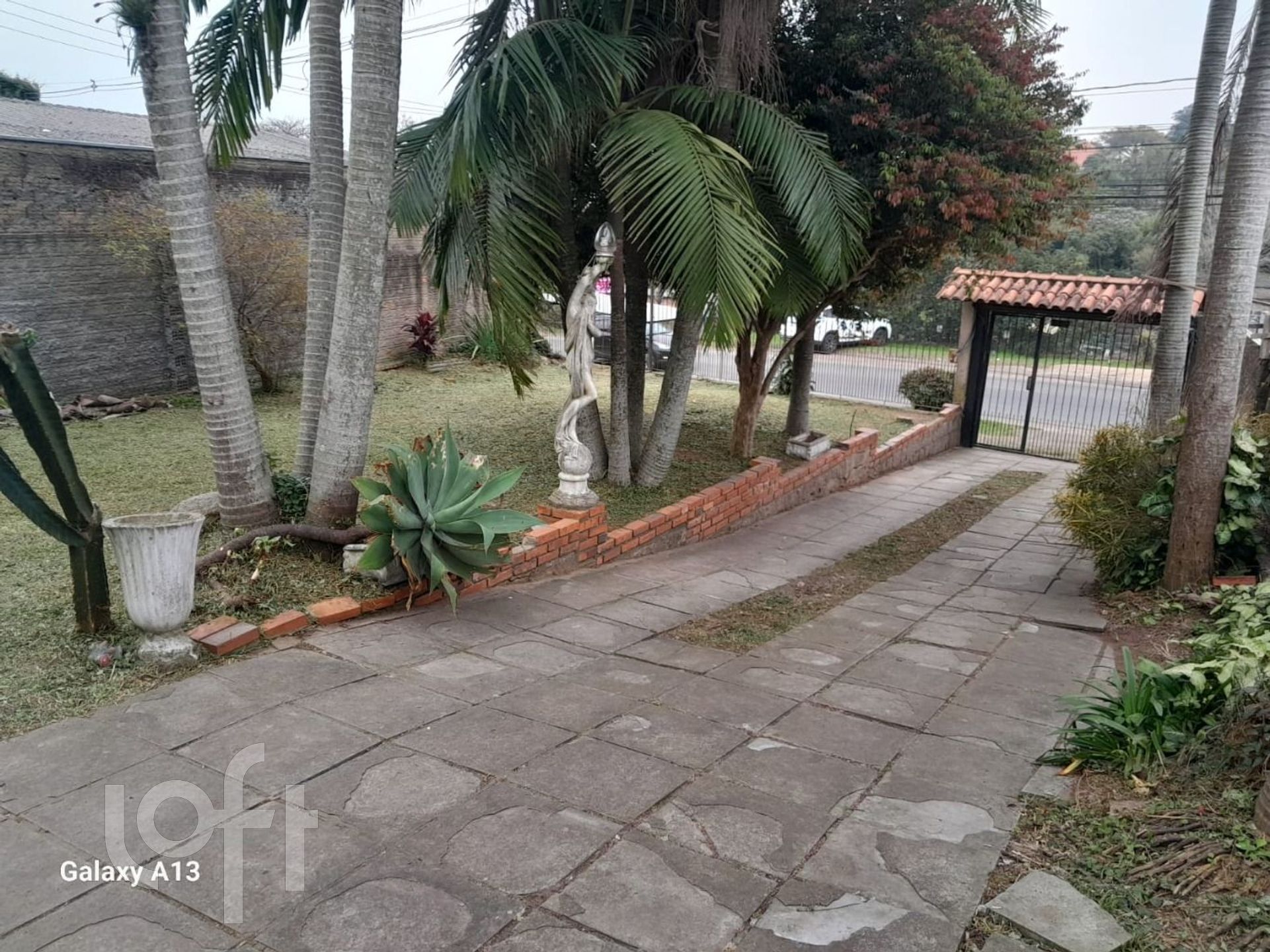 Imagem da propriedade 6