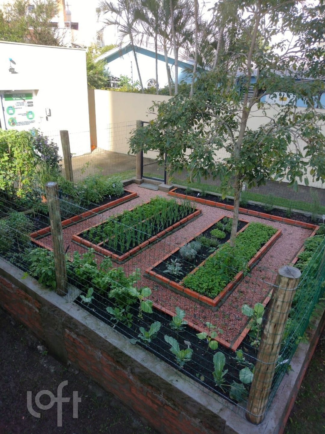 Imagem da propriedade 38