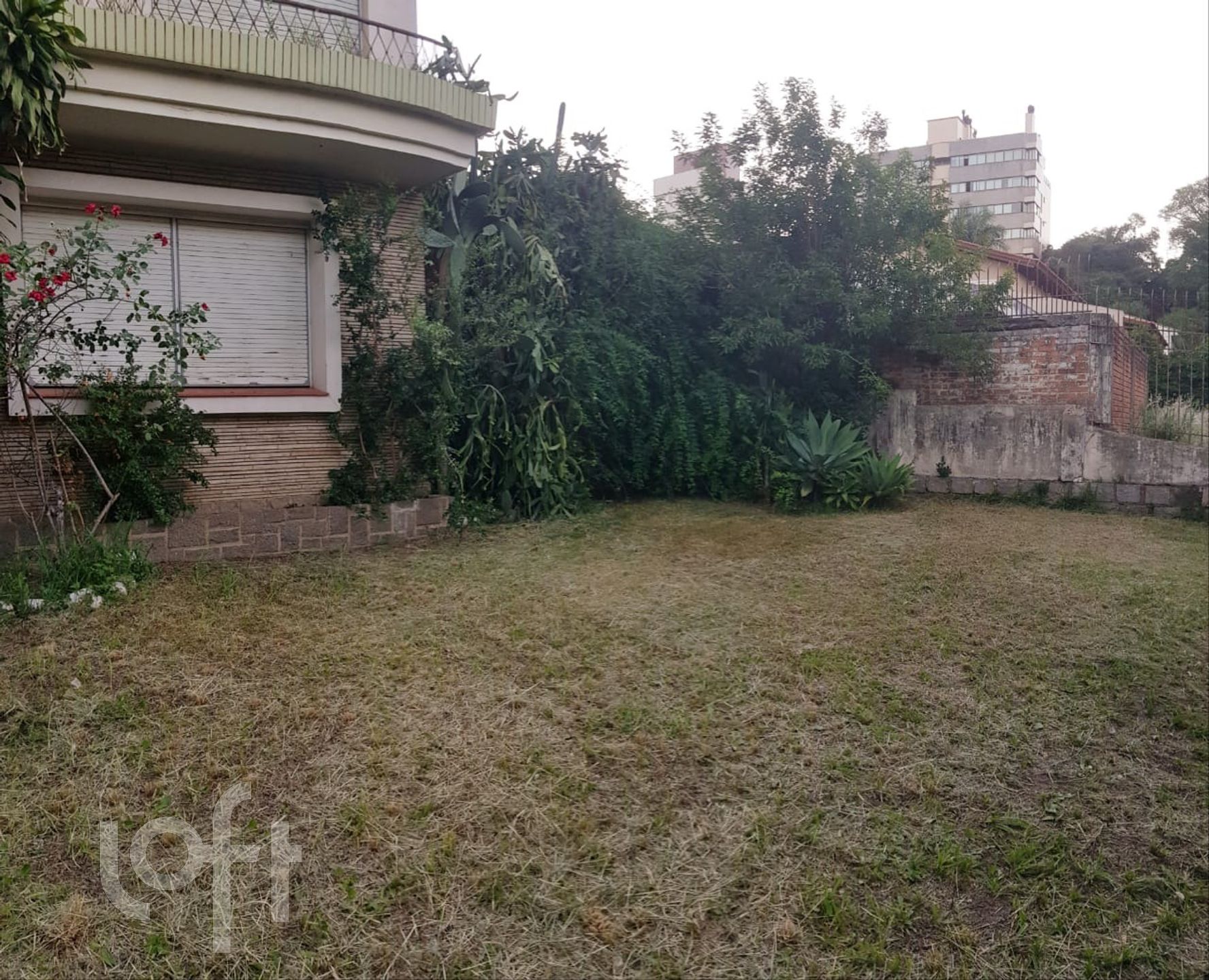 Imagem da propriedade 3