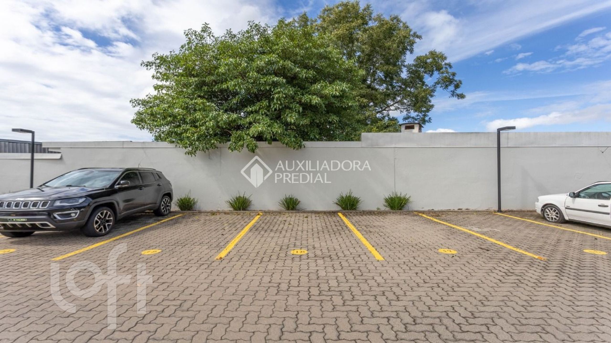 Imagem da propriedade 21