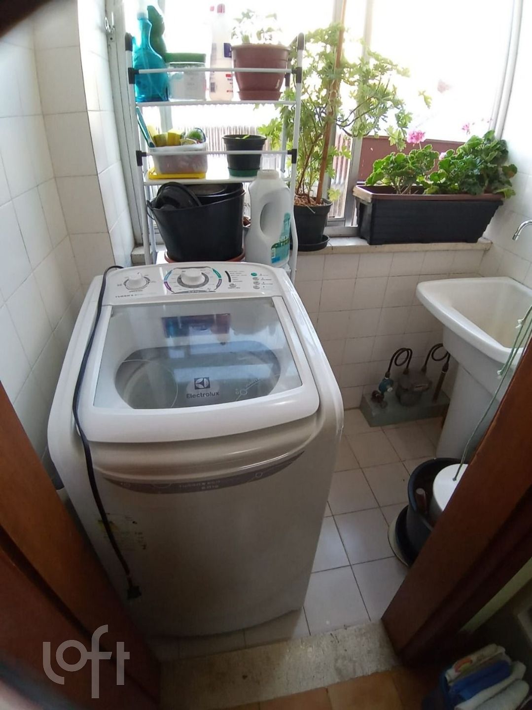 Imagem da propriedade 15