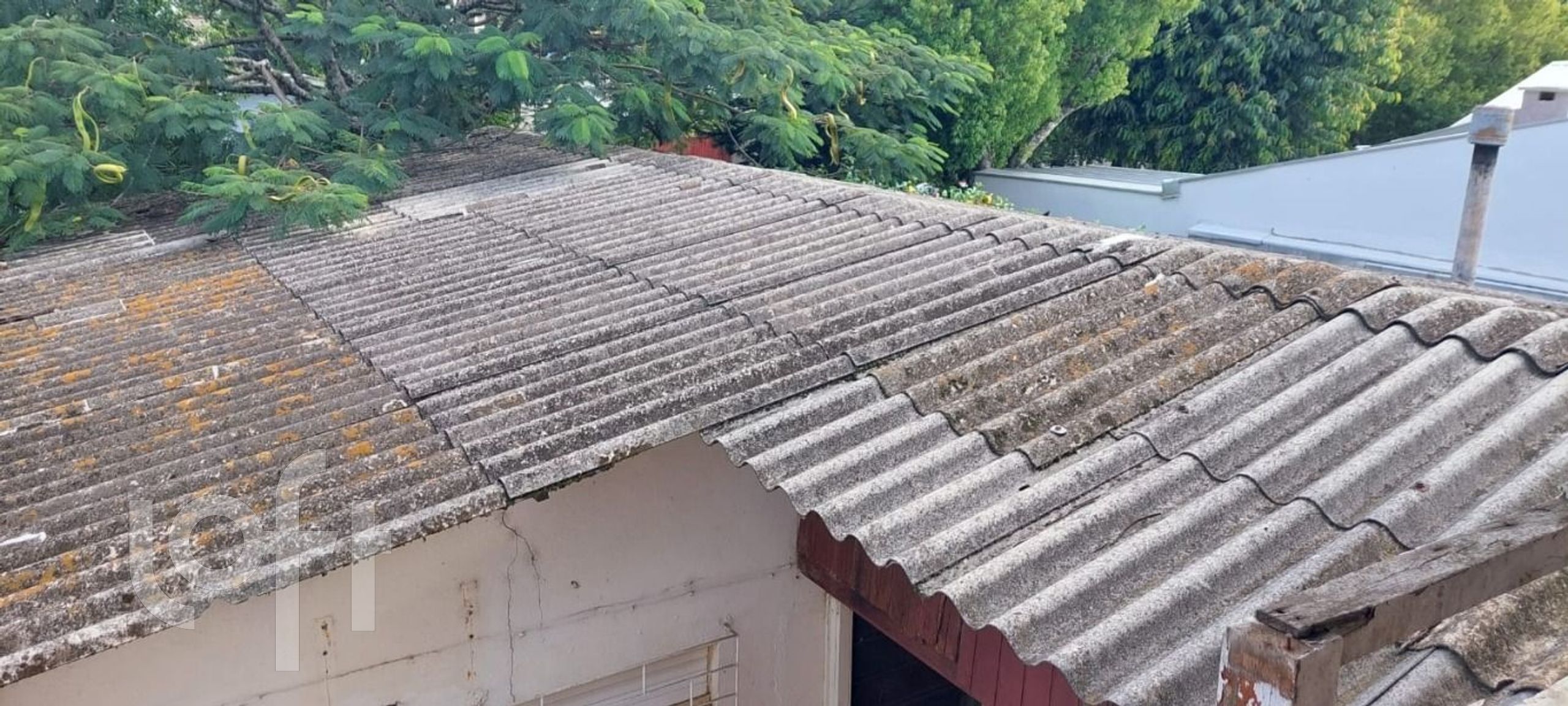 Imagem da propriedade 9