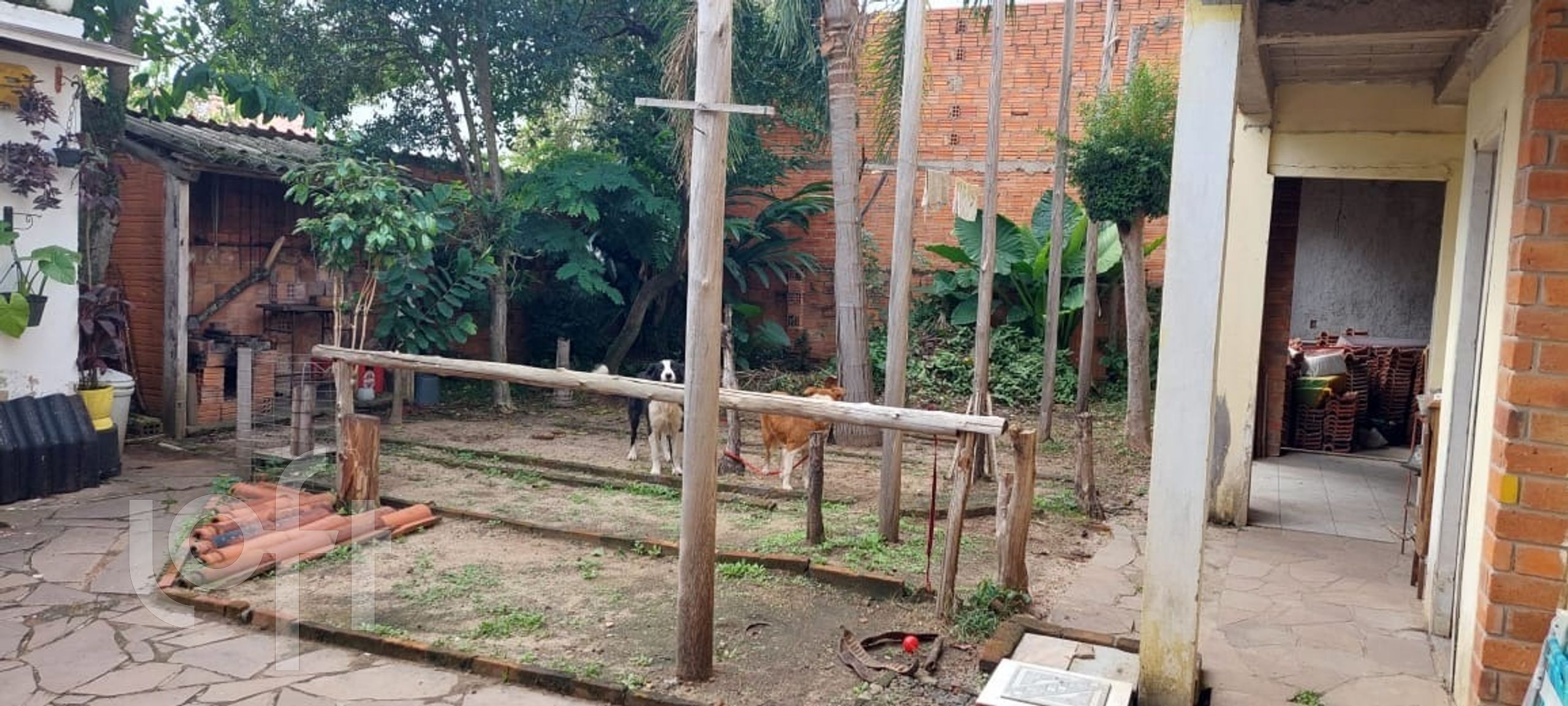 Imagem da propriedade 5