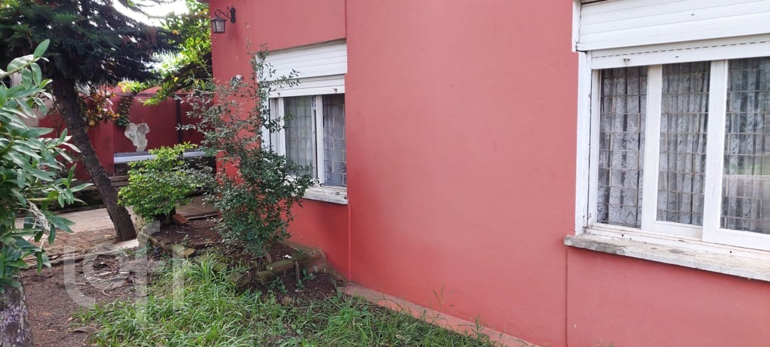 Imagem da propriedade 6