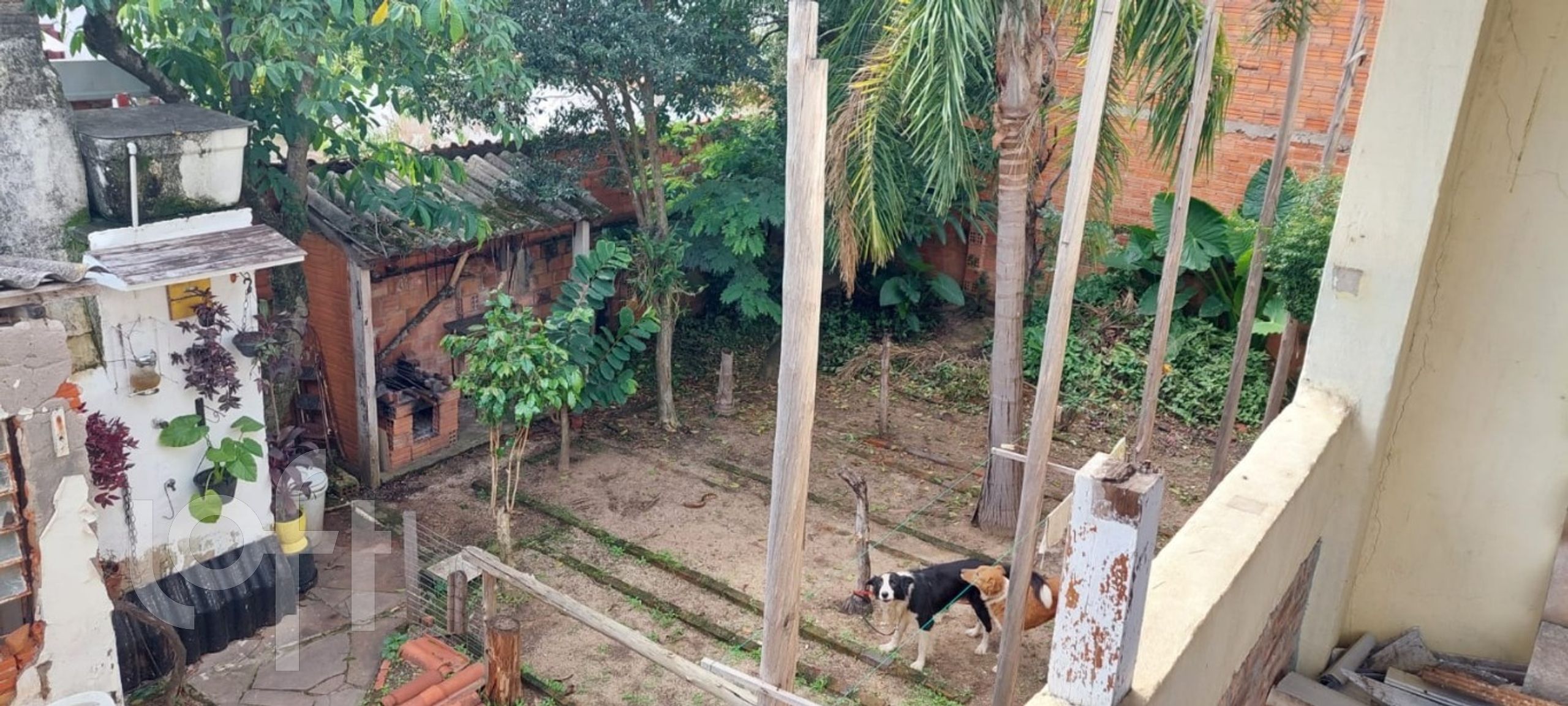 Imagem da propriedade 8