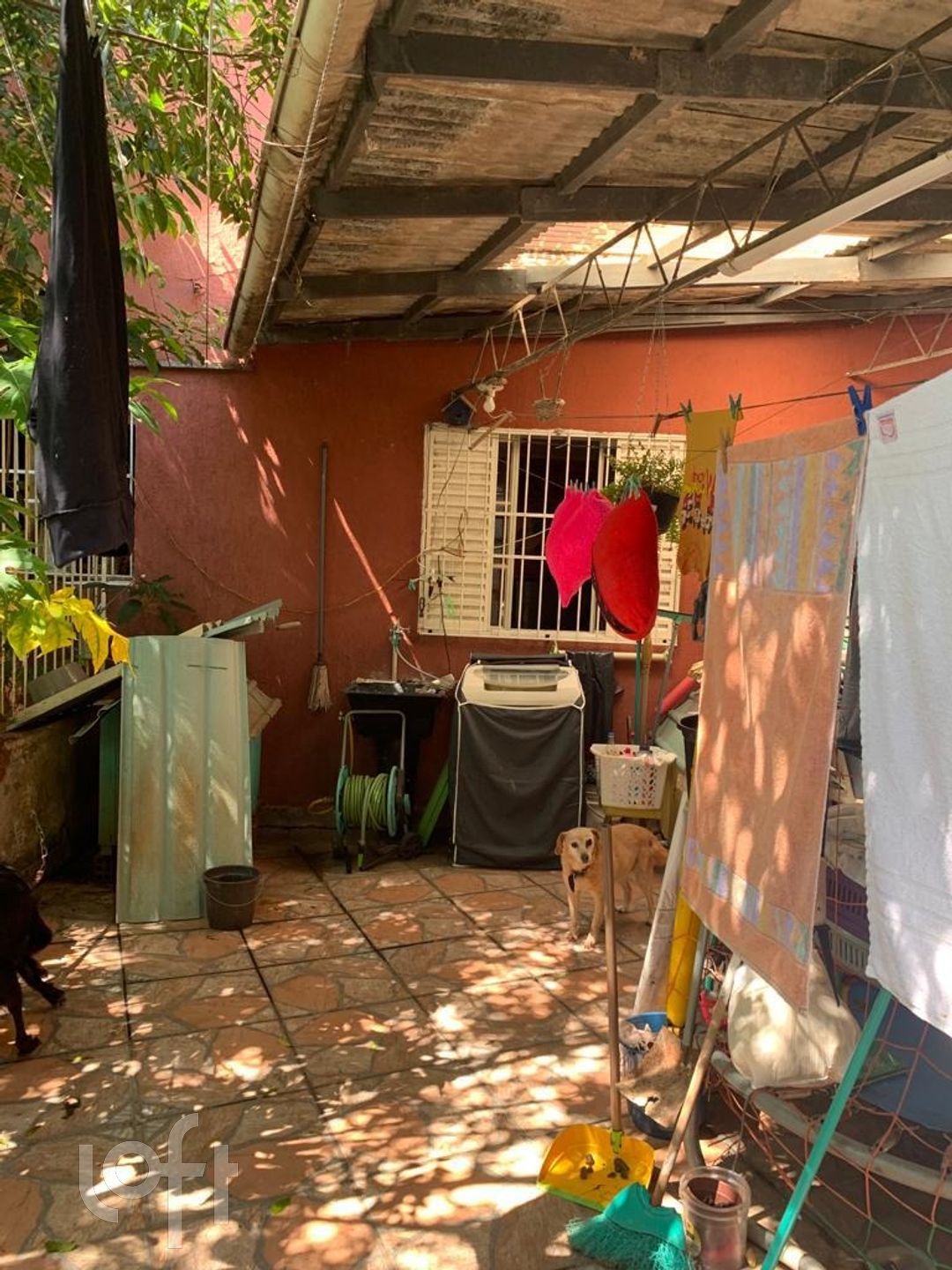 Imagem da propriedade 12